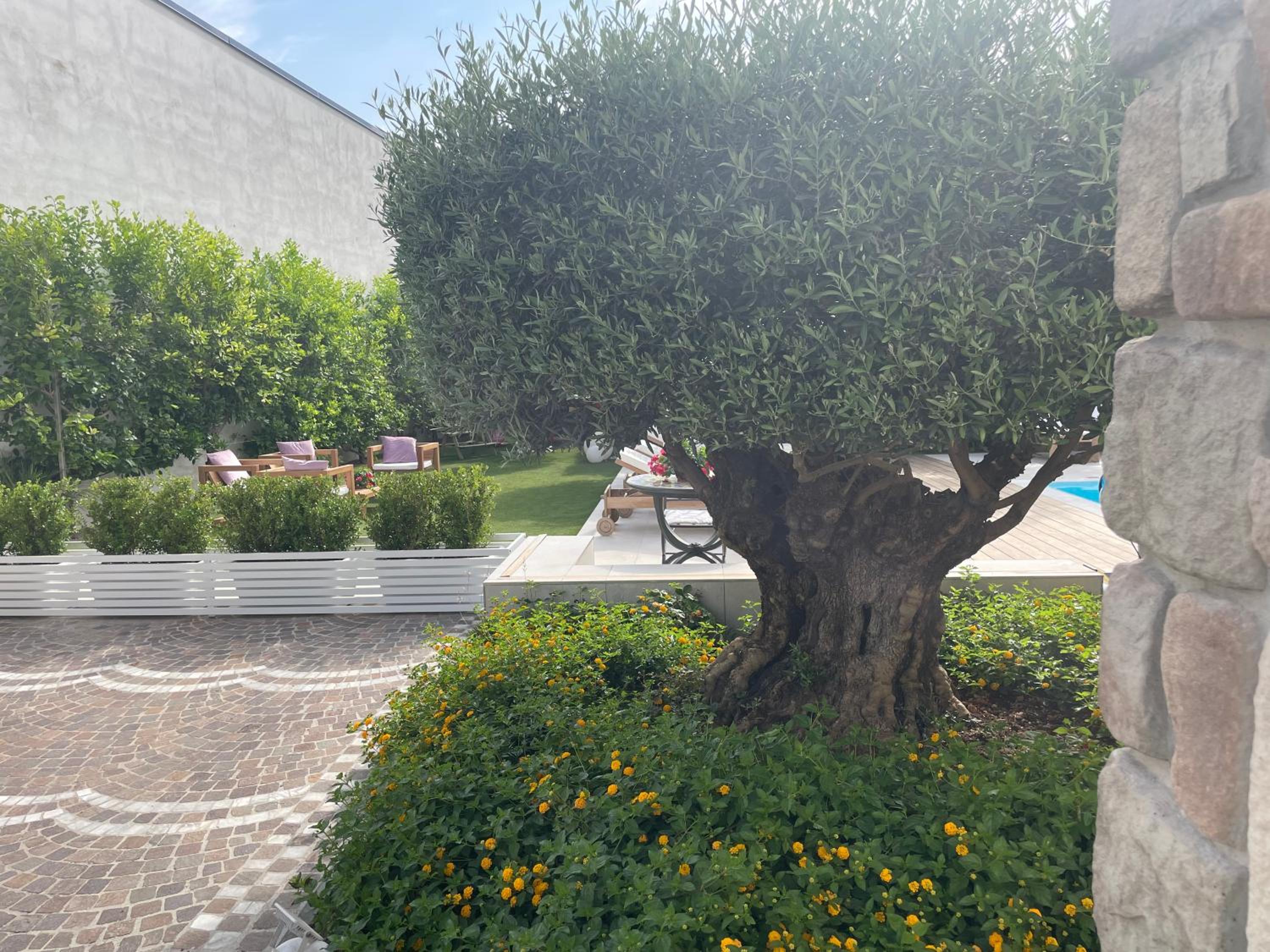 Photo 15