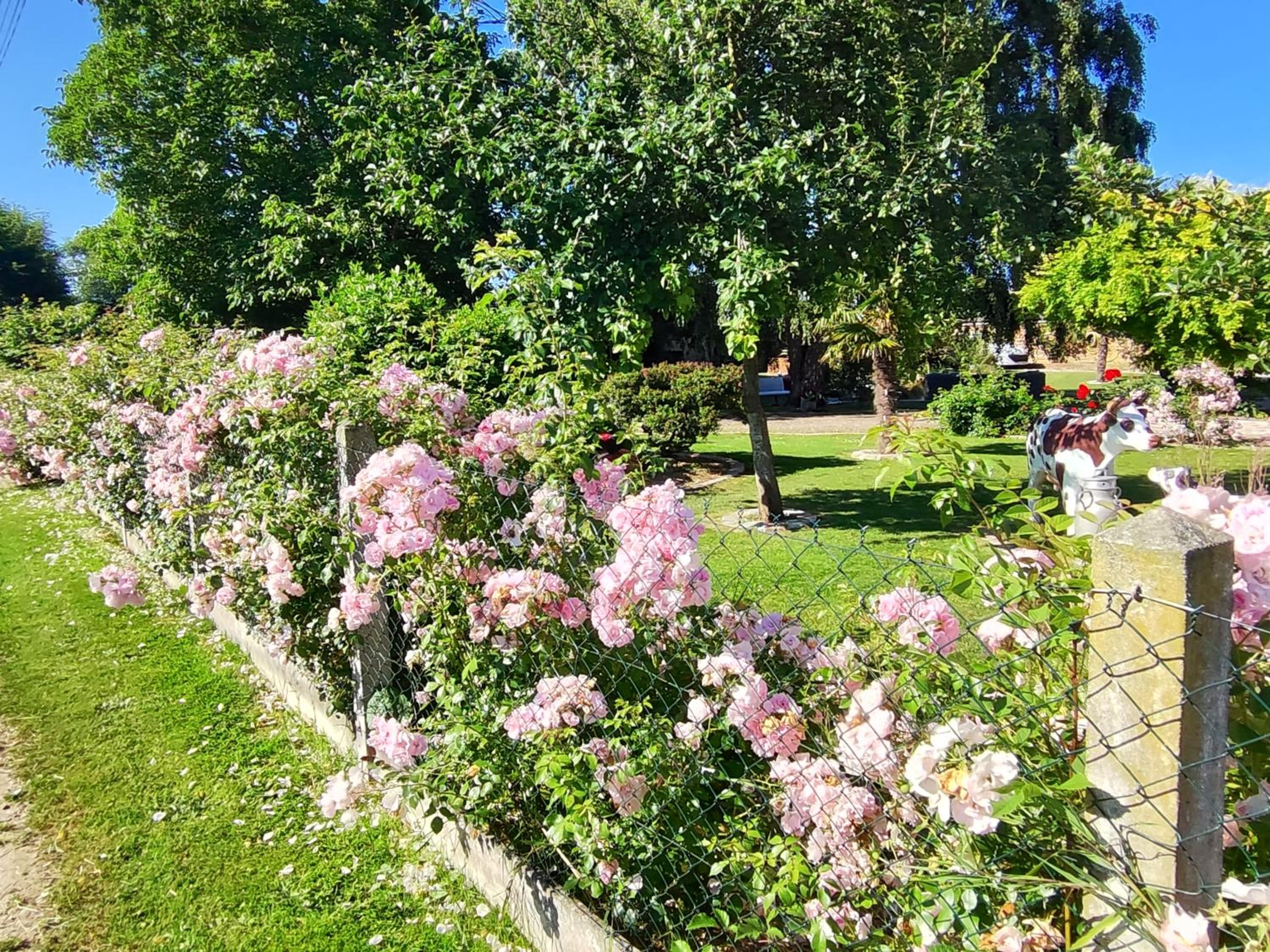 La Chaumière view 3