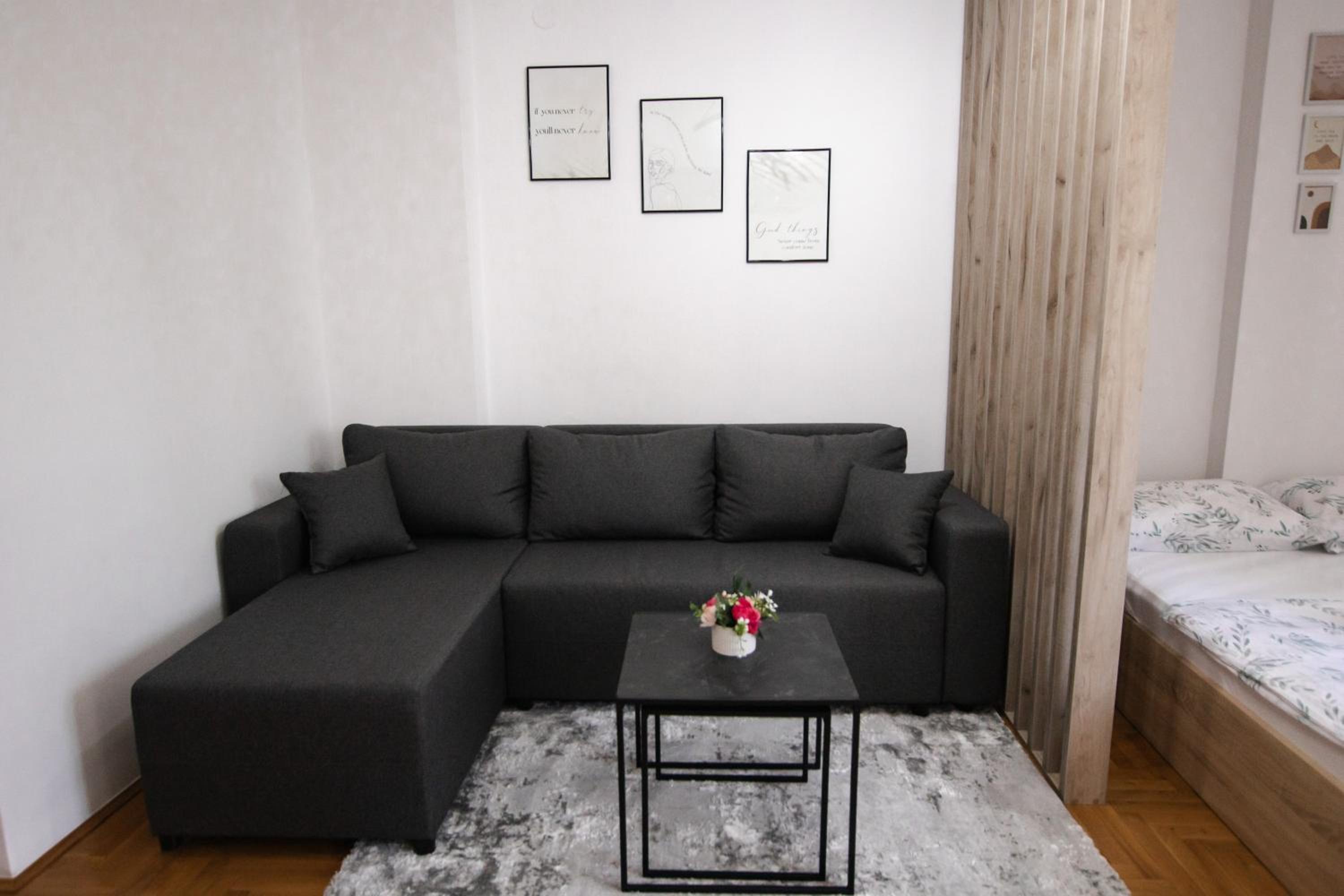 Apartman Vas dom 2 view 3