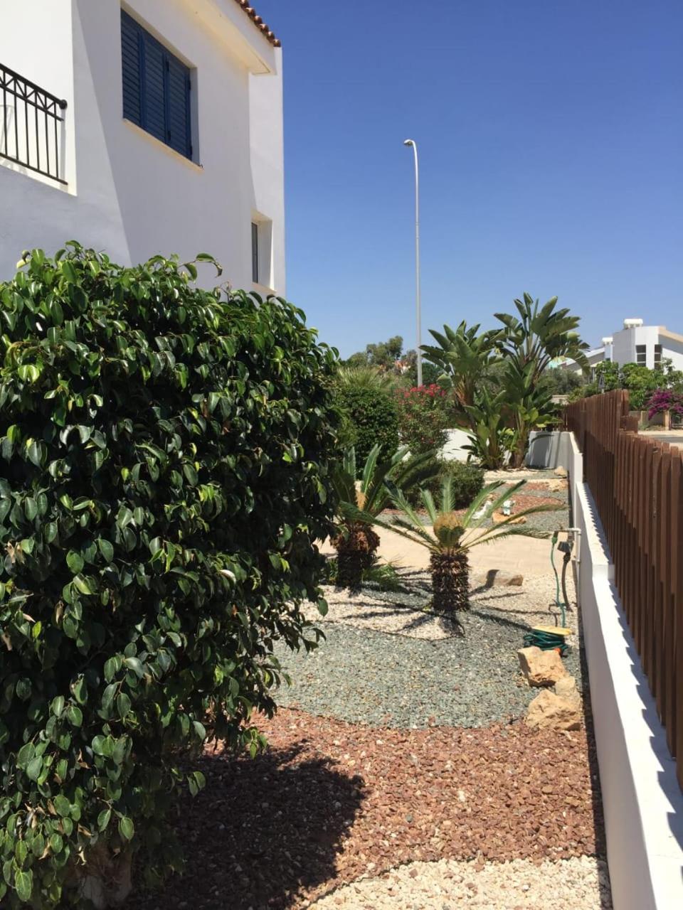 Ayia Thekla 65 House