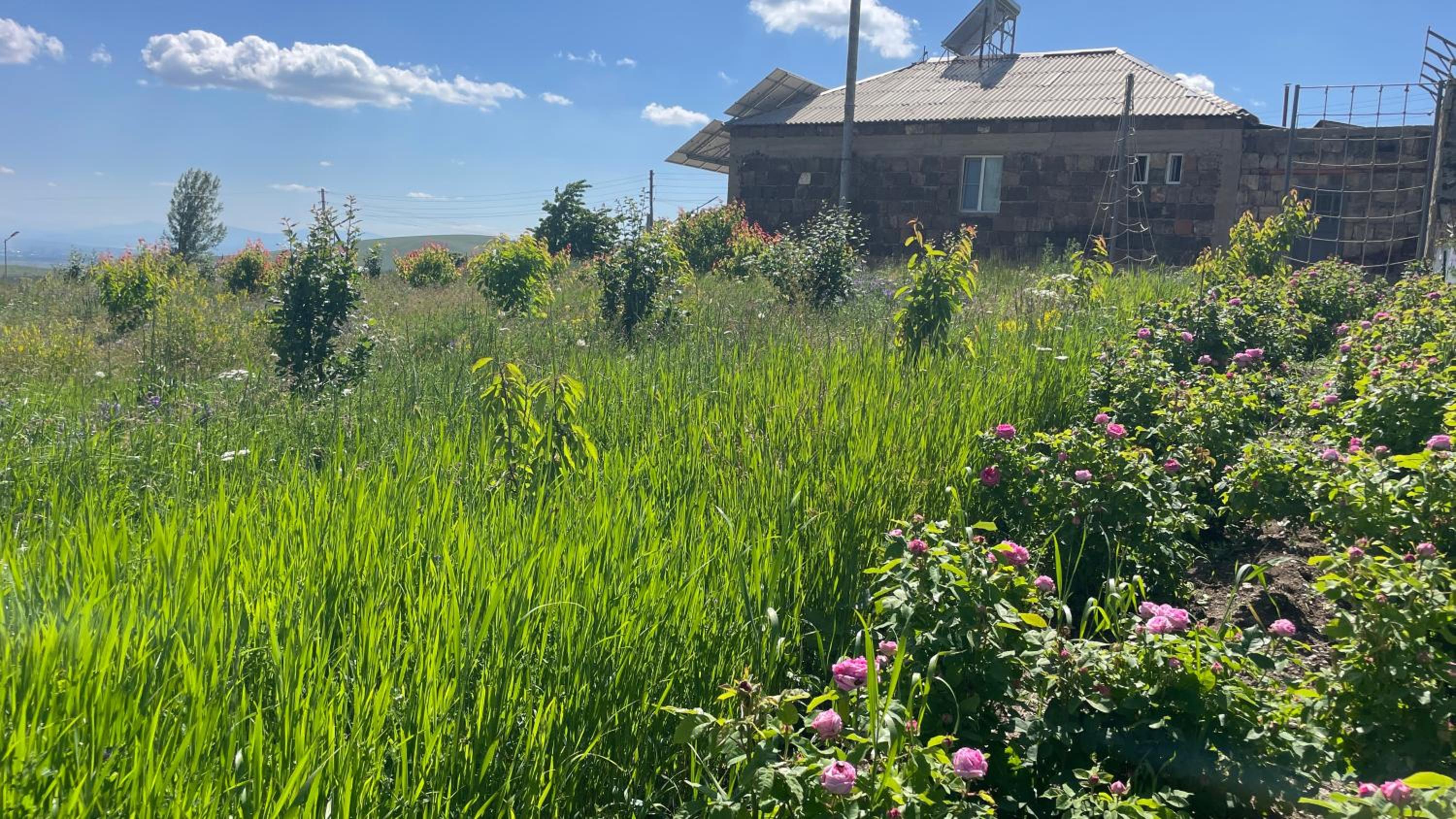 Tooi-Tooi EcoLodge