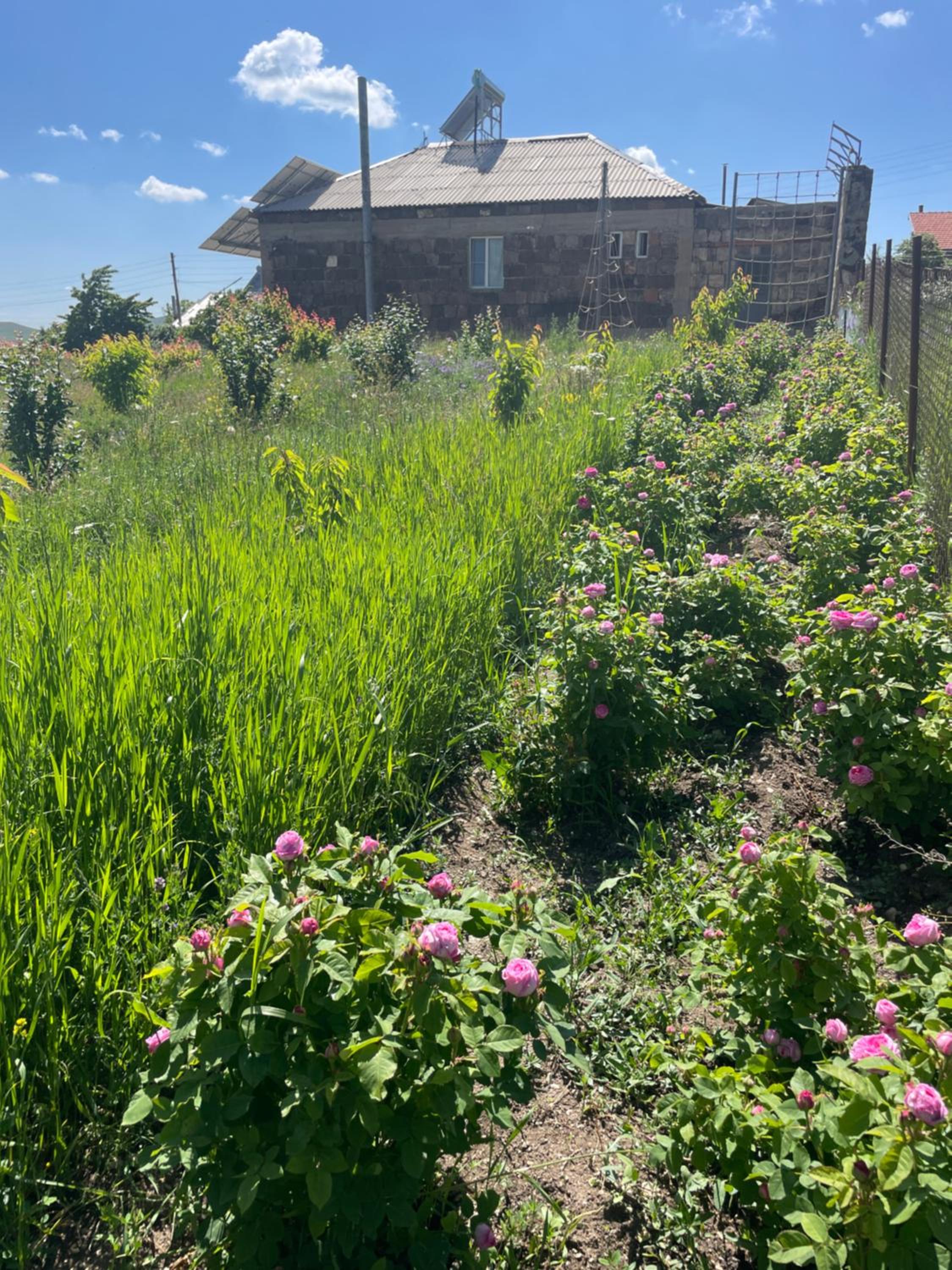 Tooi-Tooi EcoLodge