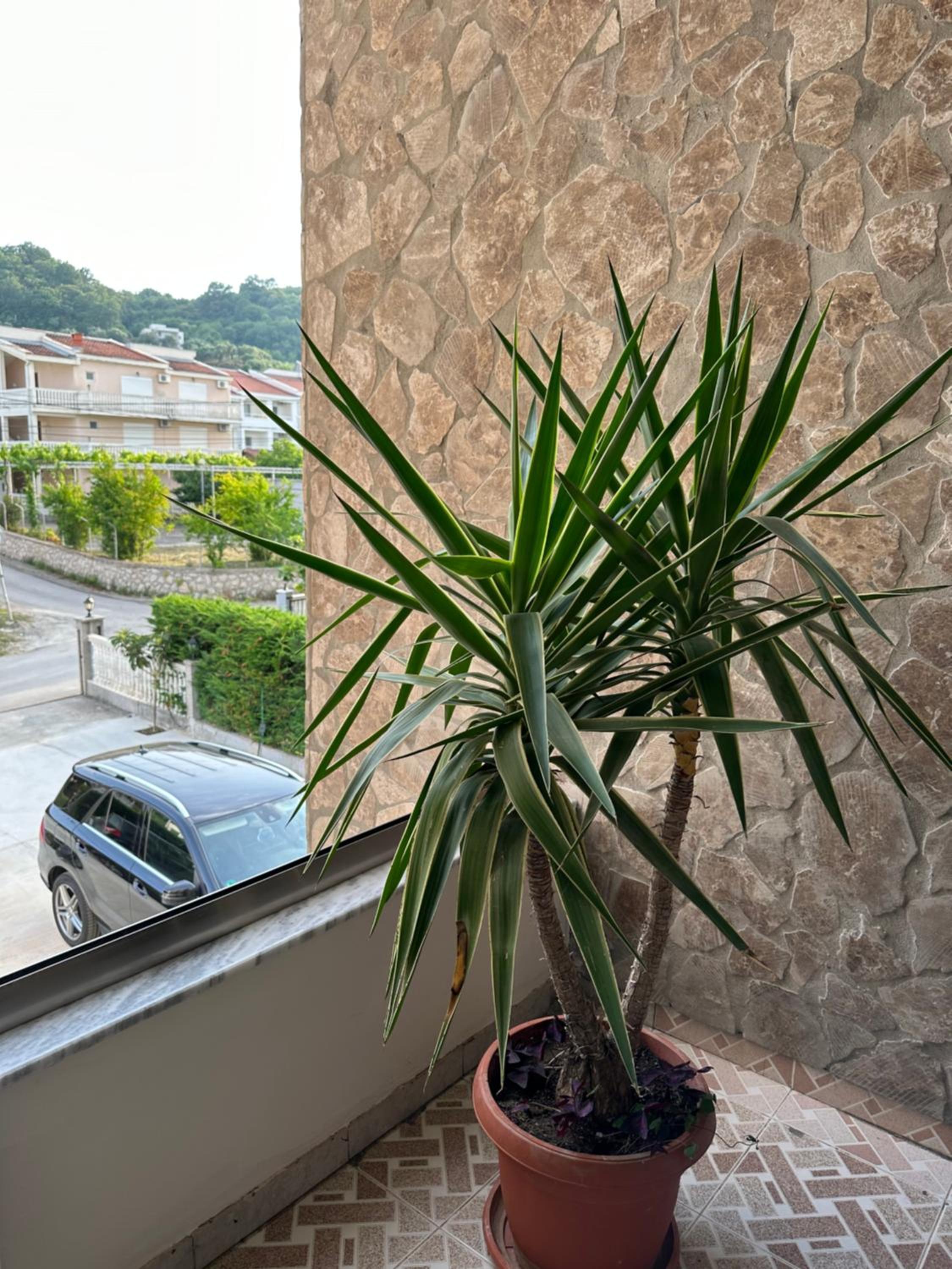 Apartments Sella