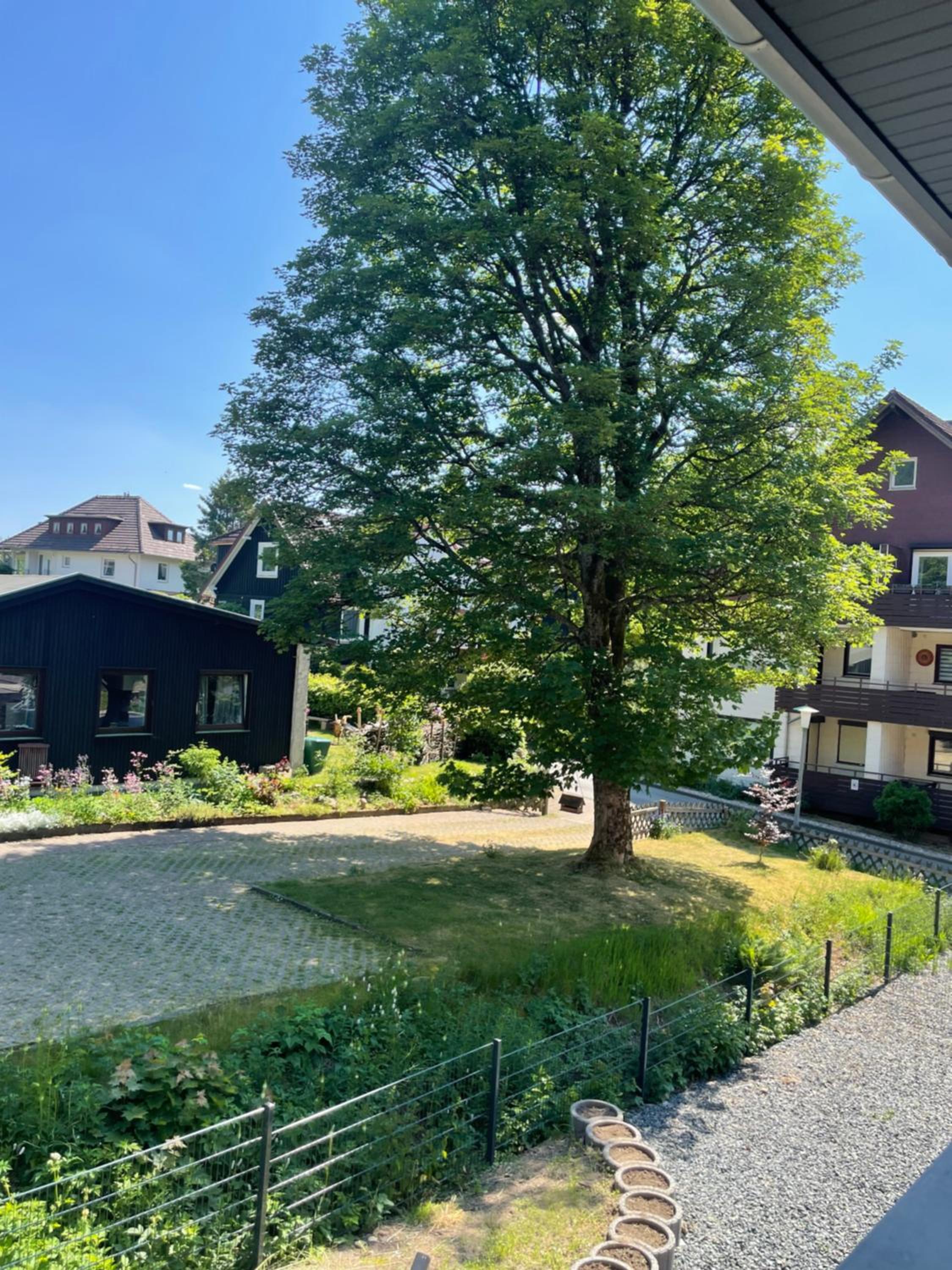 Eastside Braunlage
