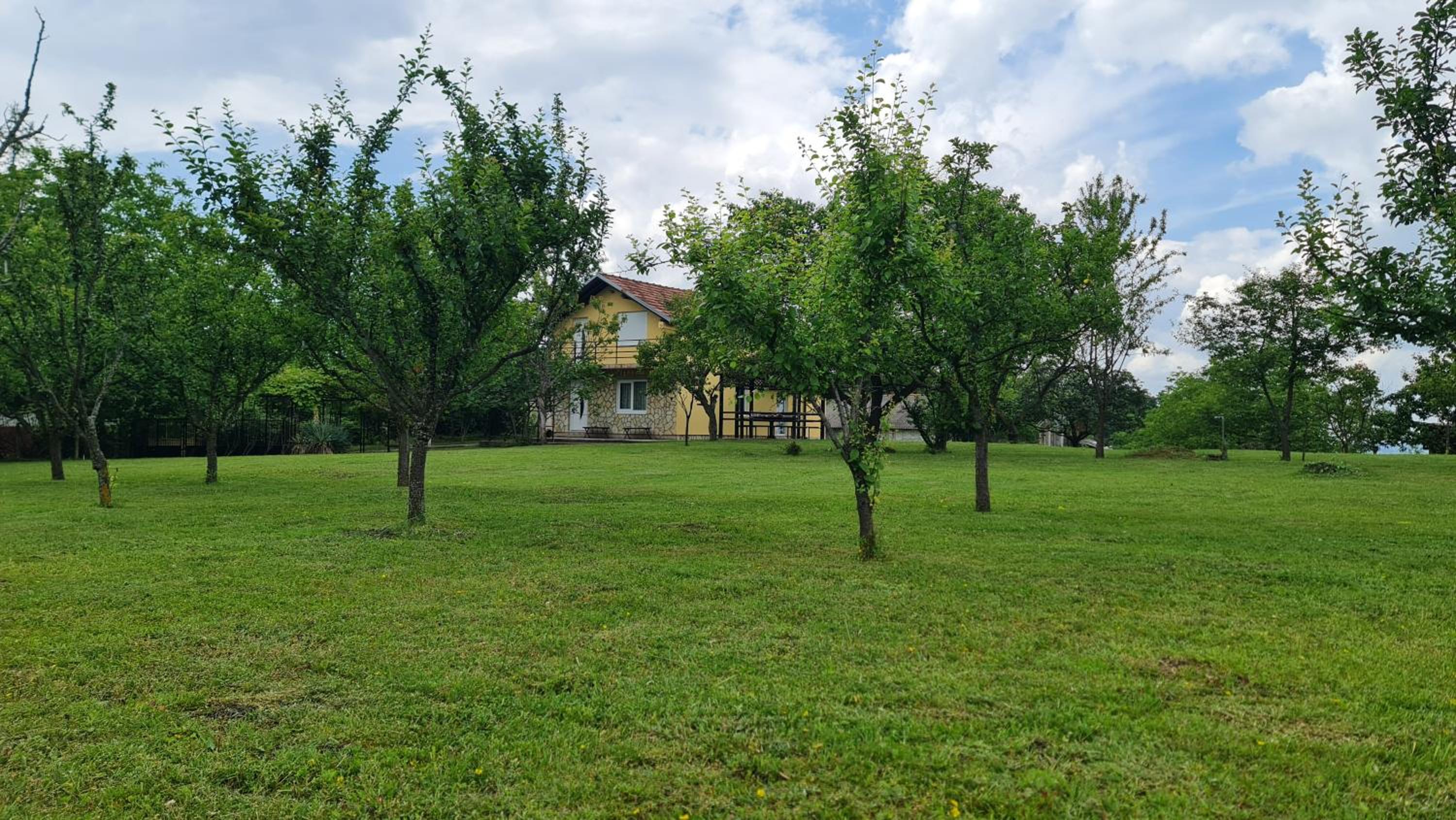 Photo 38