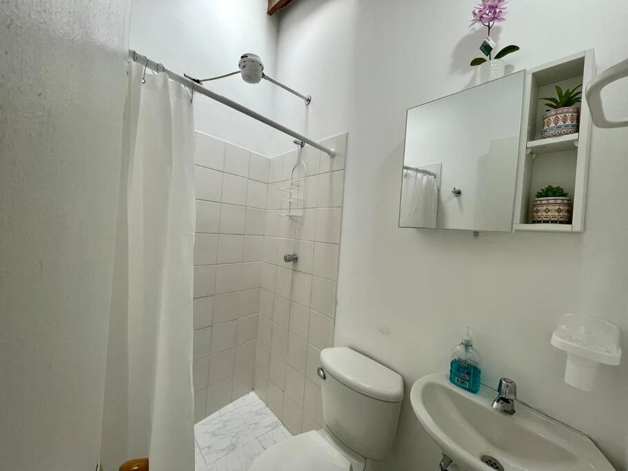 Bright Cozy Studio for 1-2 People, Fast Wifi