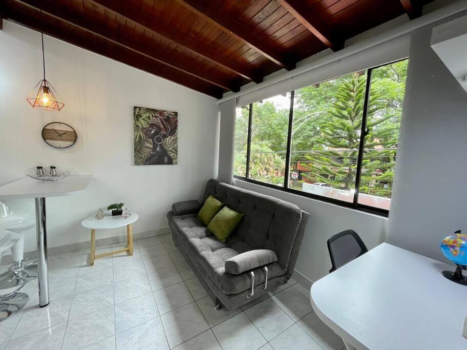 Bright Cozy Studio for 1-2 People, Fast Wifi