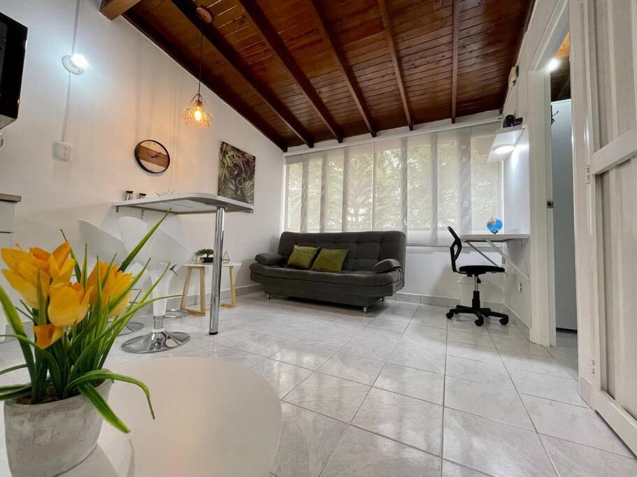 Bright Cozy Studio for 1-2 People, Fast Wifi