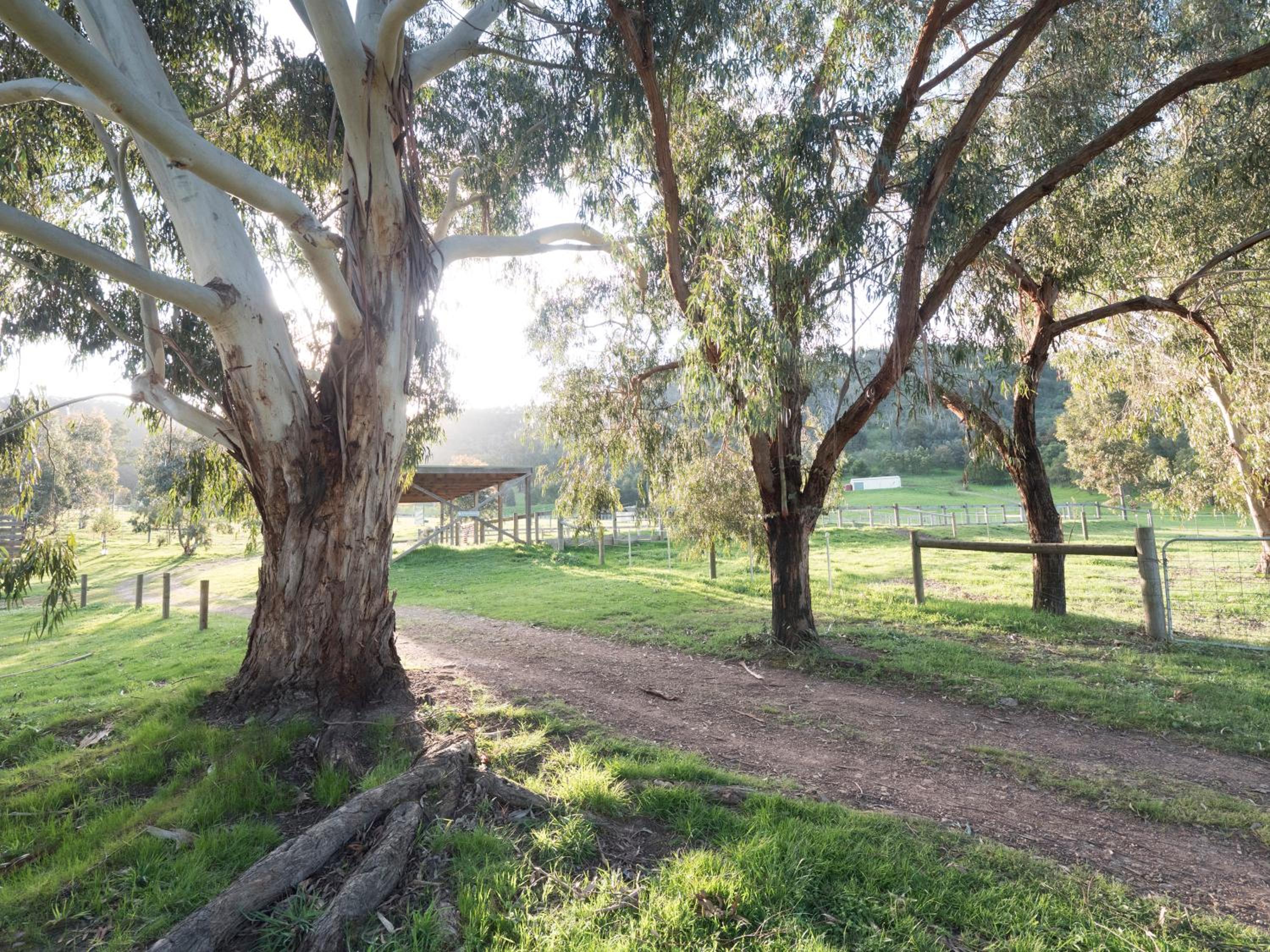 Hillview & Stringybark, Halls on Falls Homestead