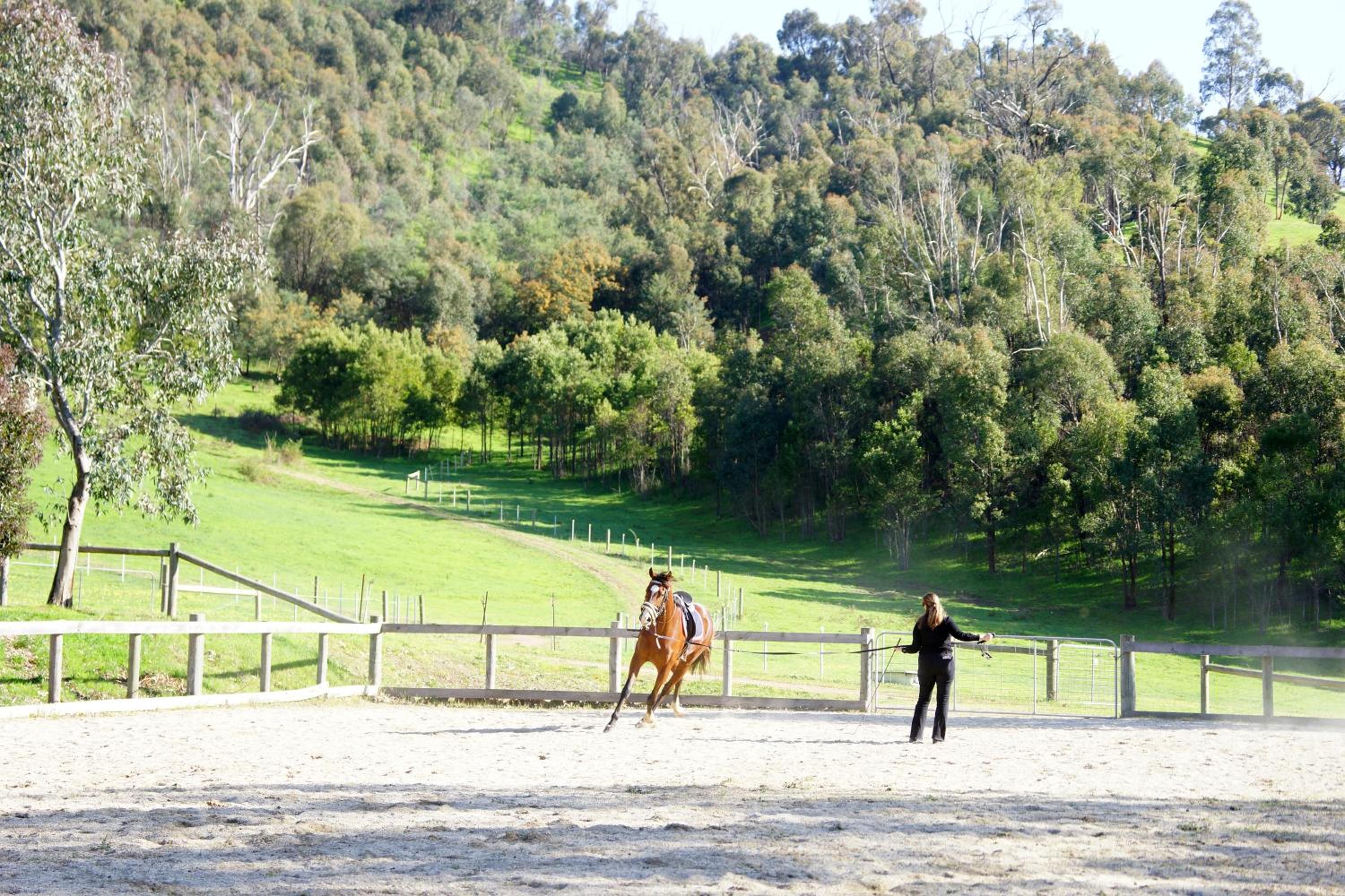 Hillview & Stringybark, Halls on Falls Homestead