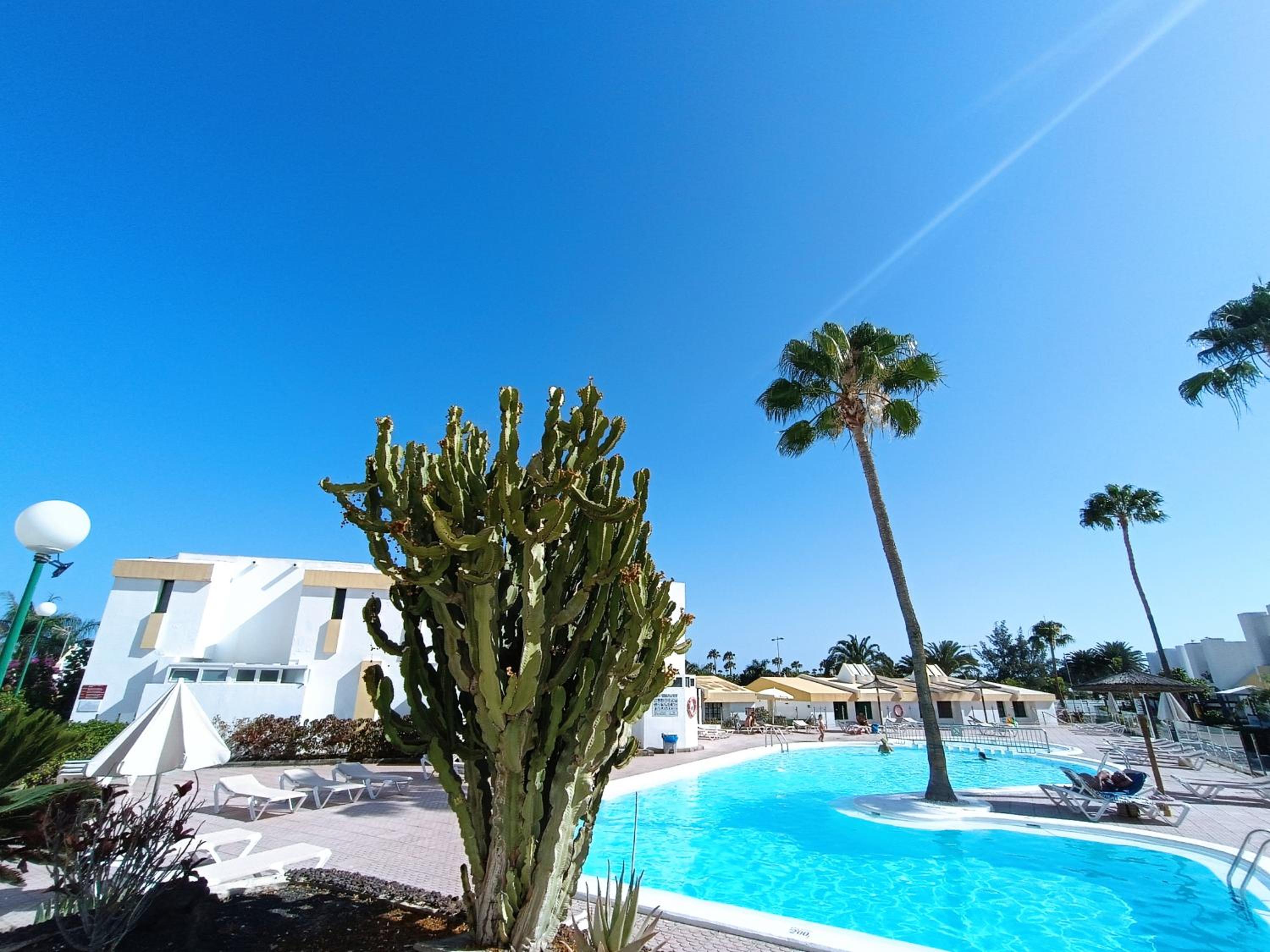 Pool & Wellness