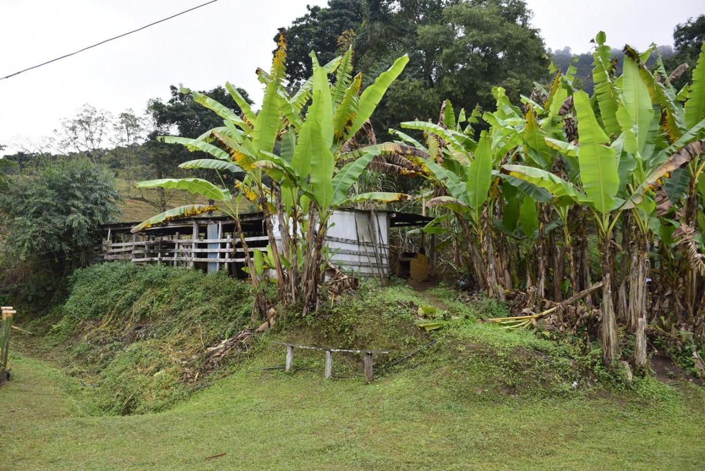 Sítio das Jaqueiras
