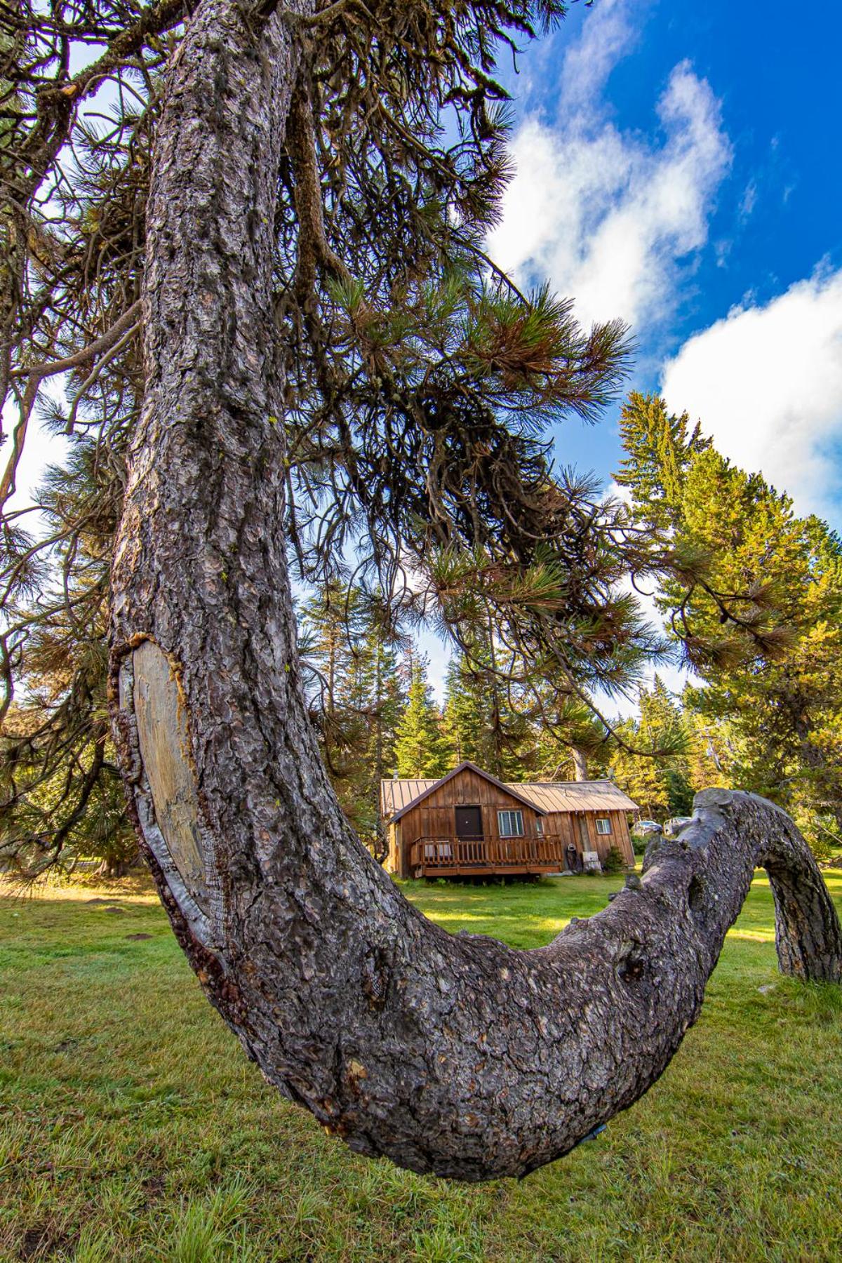 Cooper Spur Mountain Resort