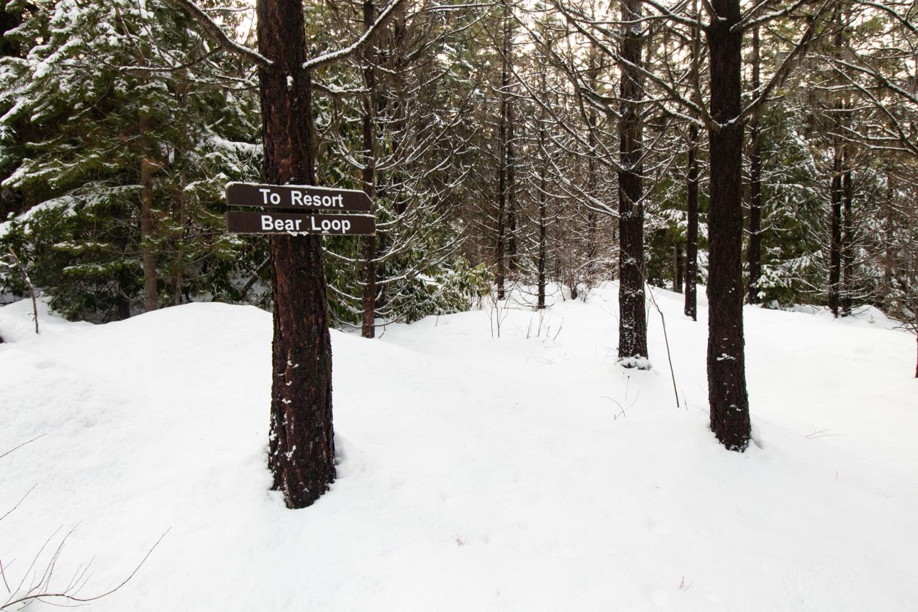 Cooper Spur Mountain Resort