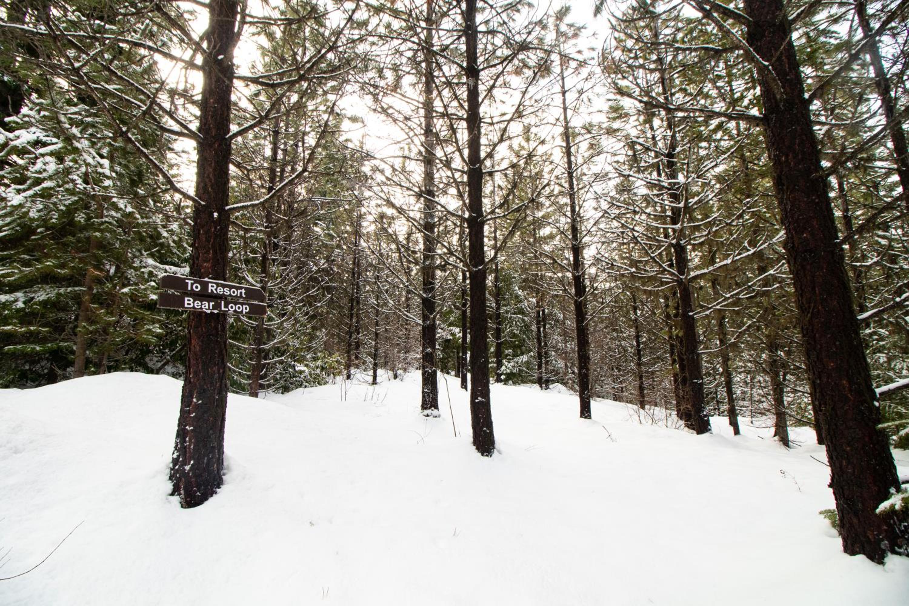Cooper Spur Mountain Resort