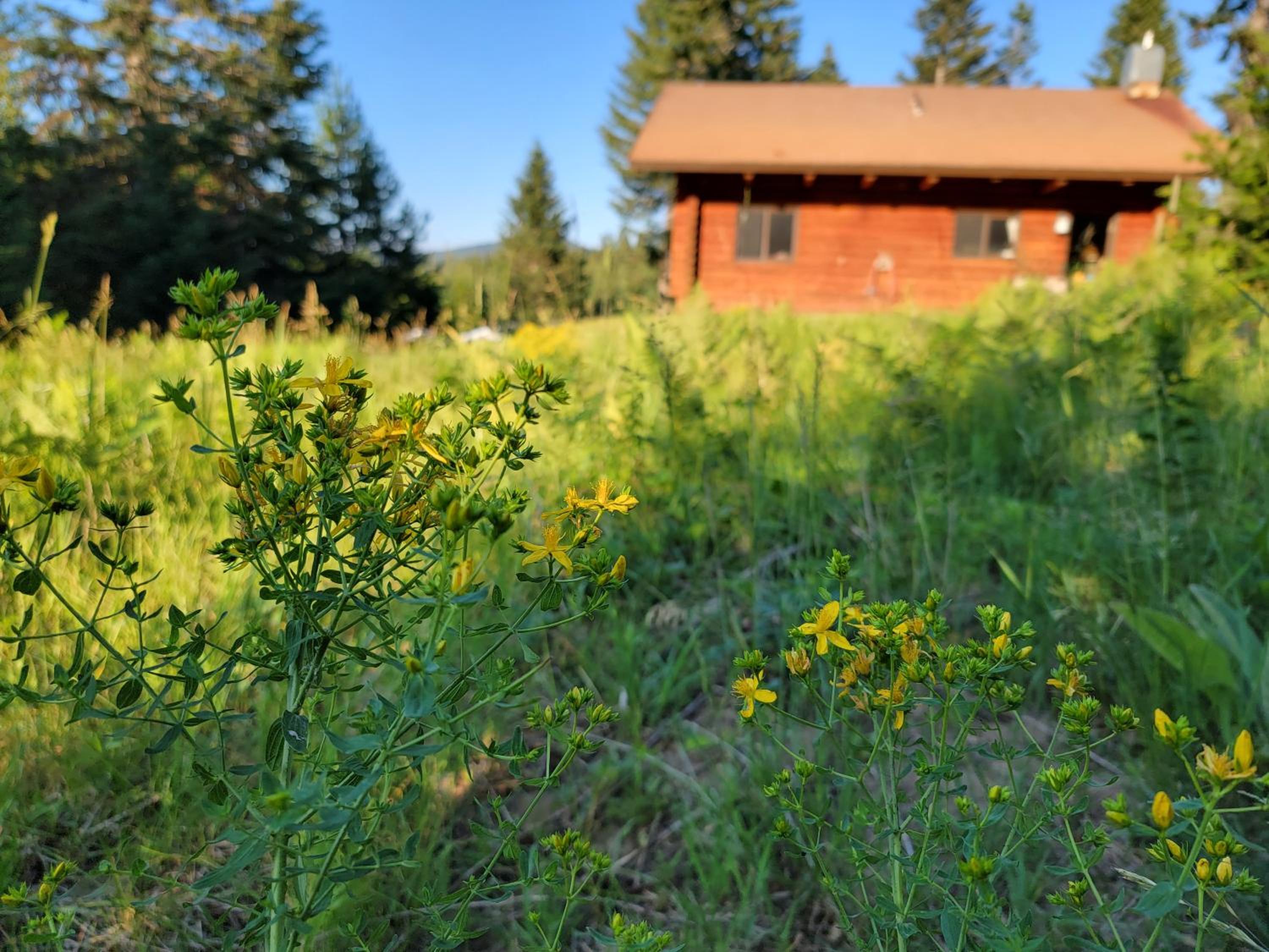 Cooper Spur Mountain Resort