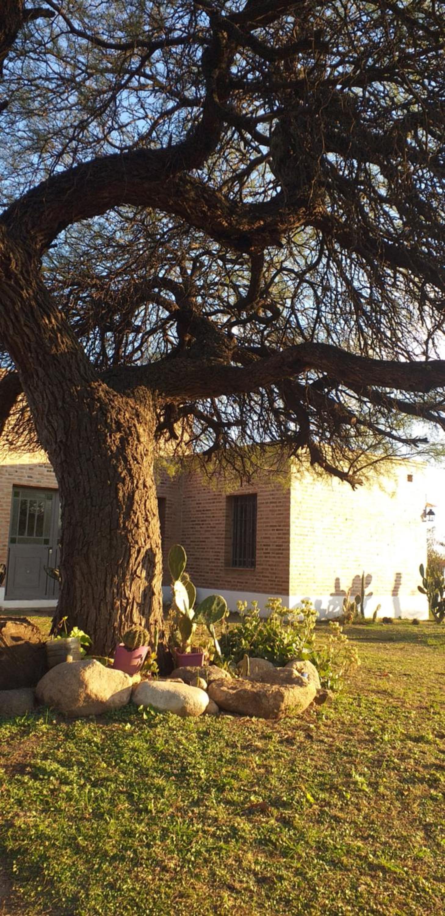 Casa del viñedo