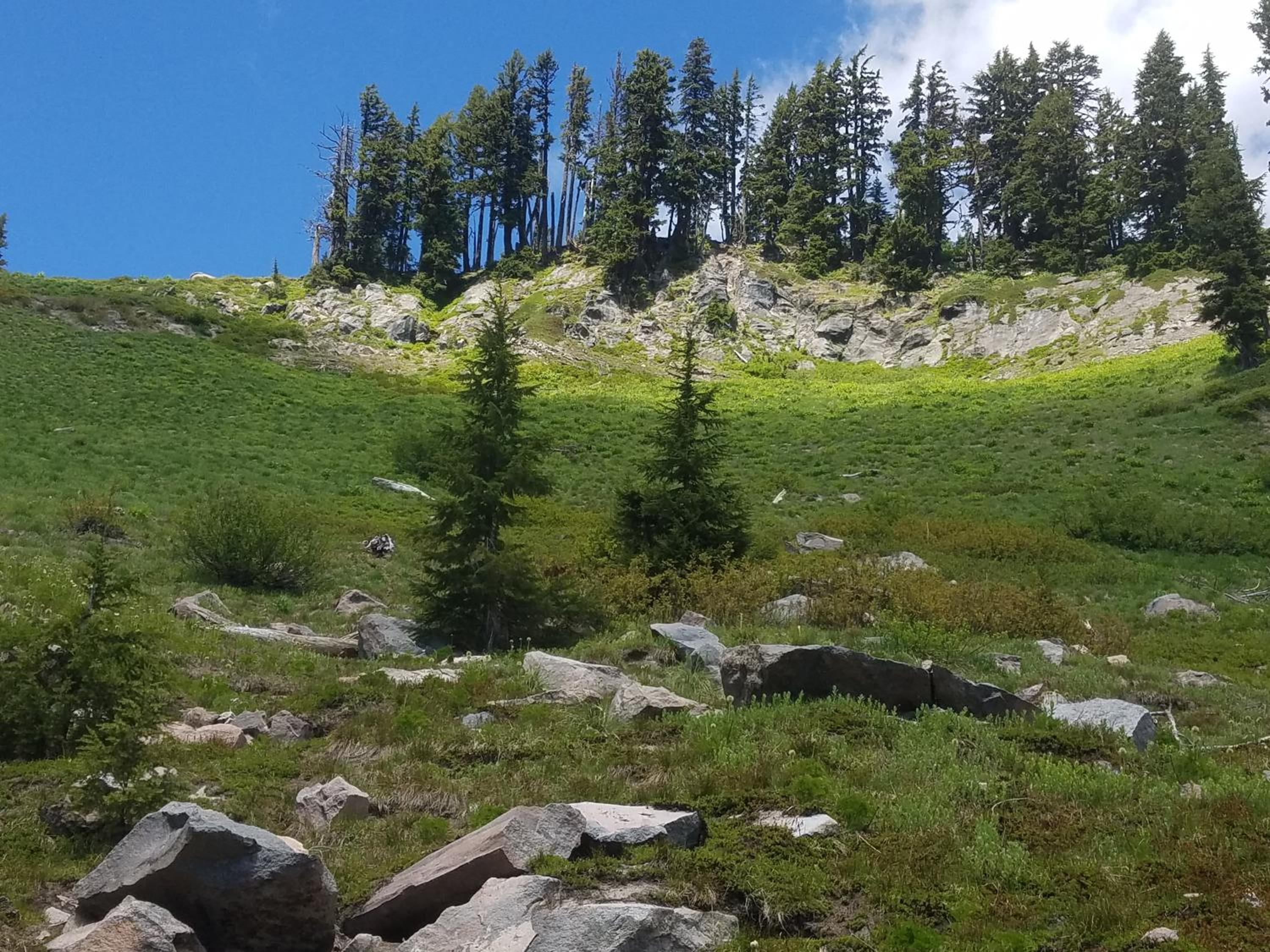 Cooper Spur Mountain Resort
