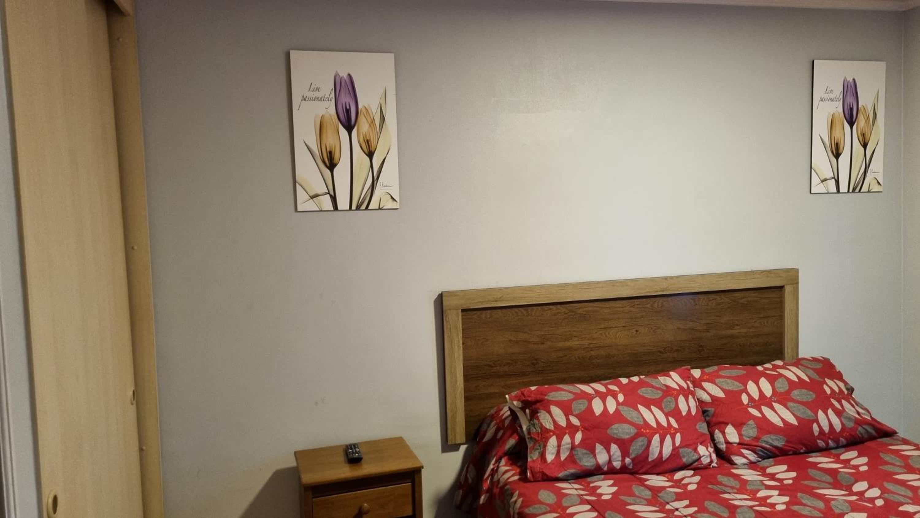 Apartamentos Elvi