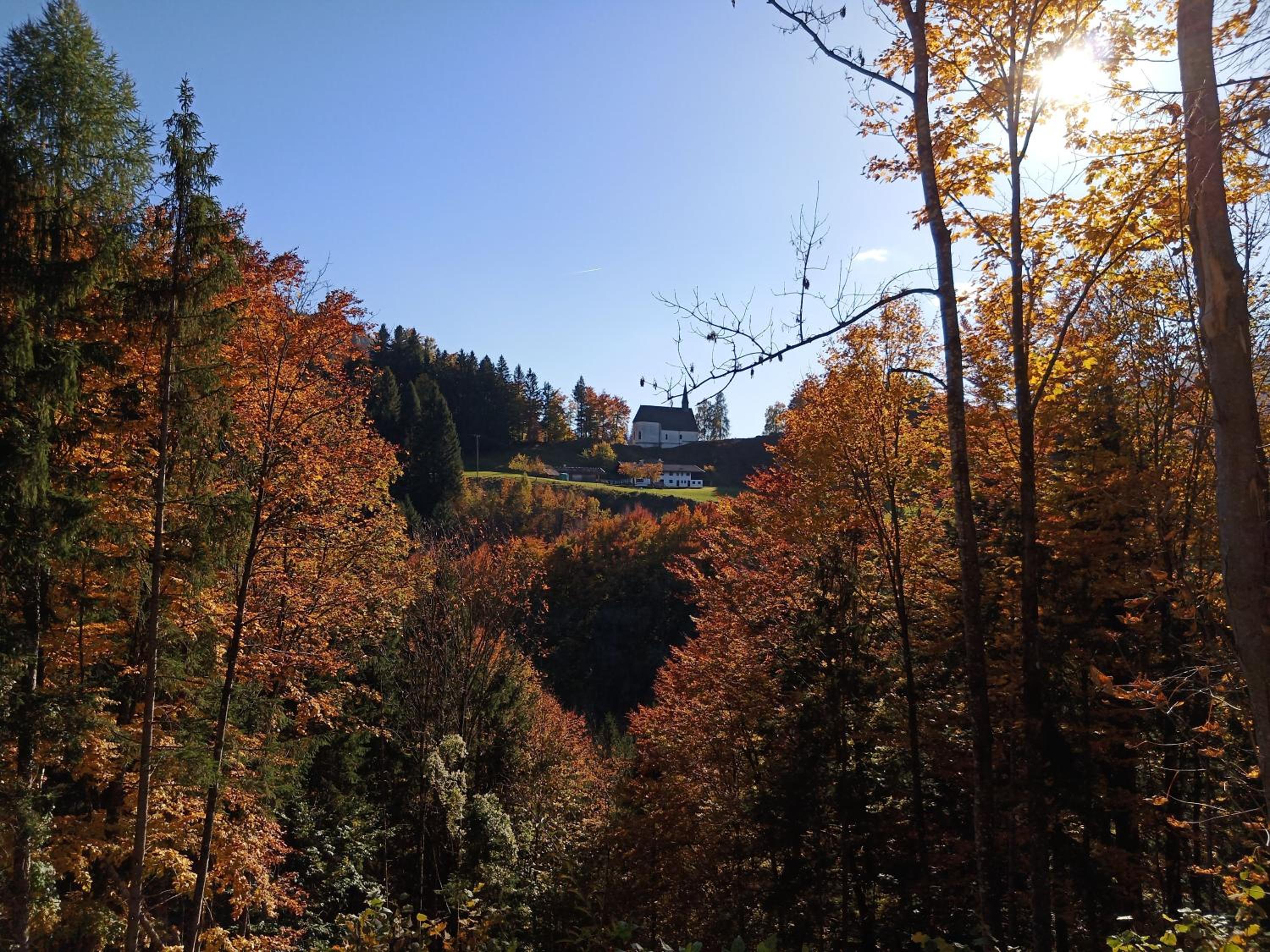 Pilzhof