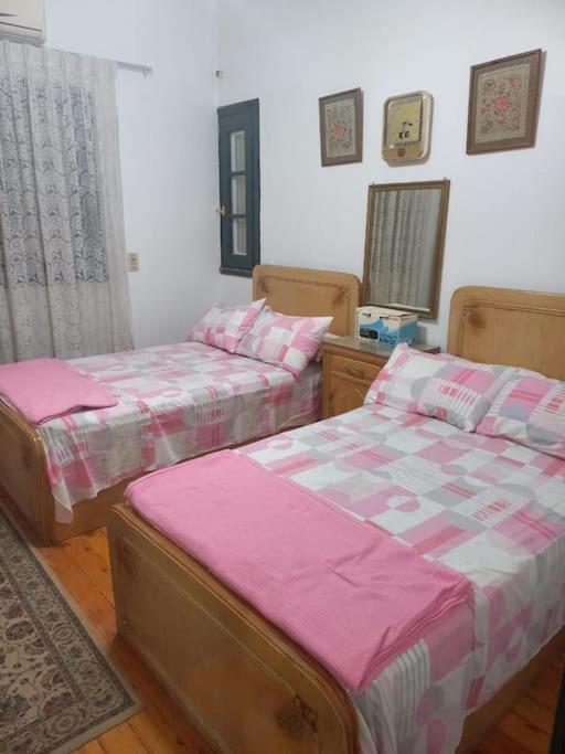 cousy apartment
