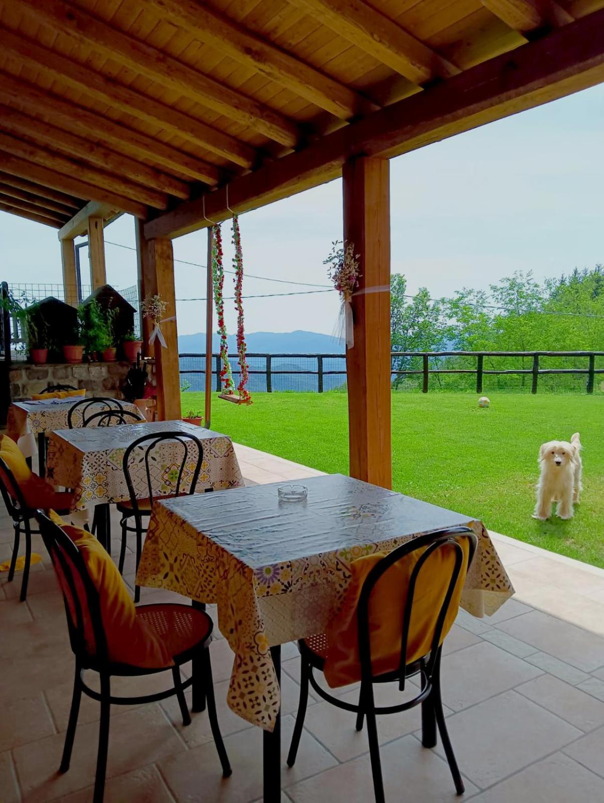 Terra Del Bosco Agriturismo view 3