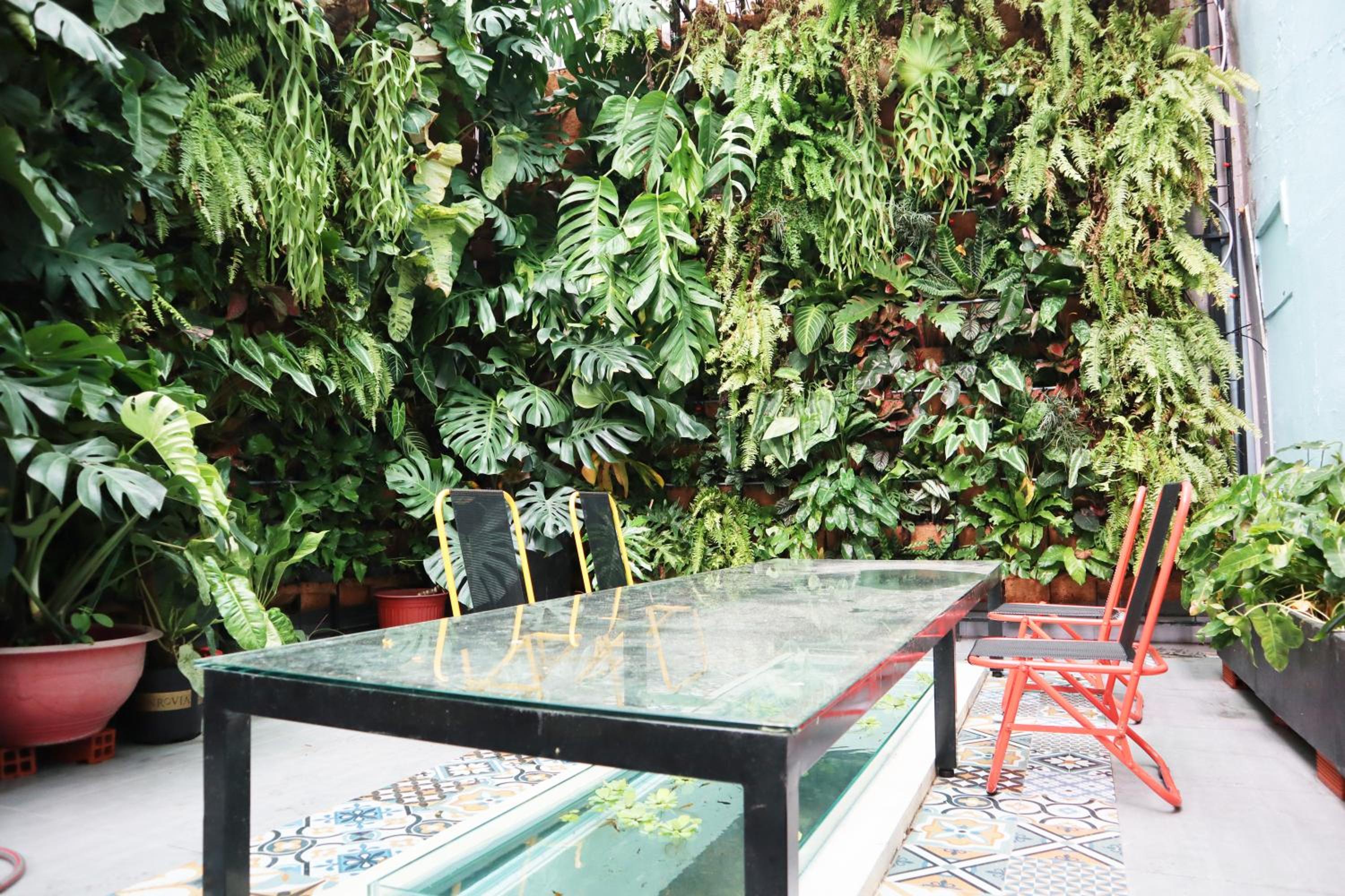 AMANGO HOSTEL