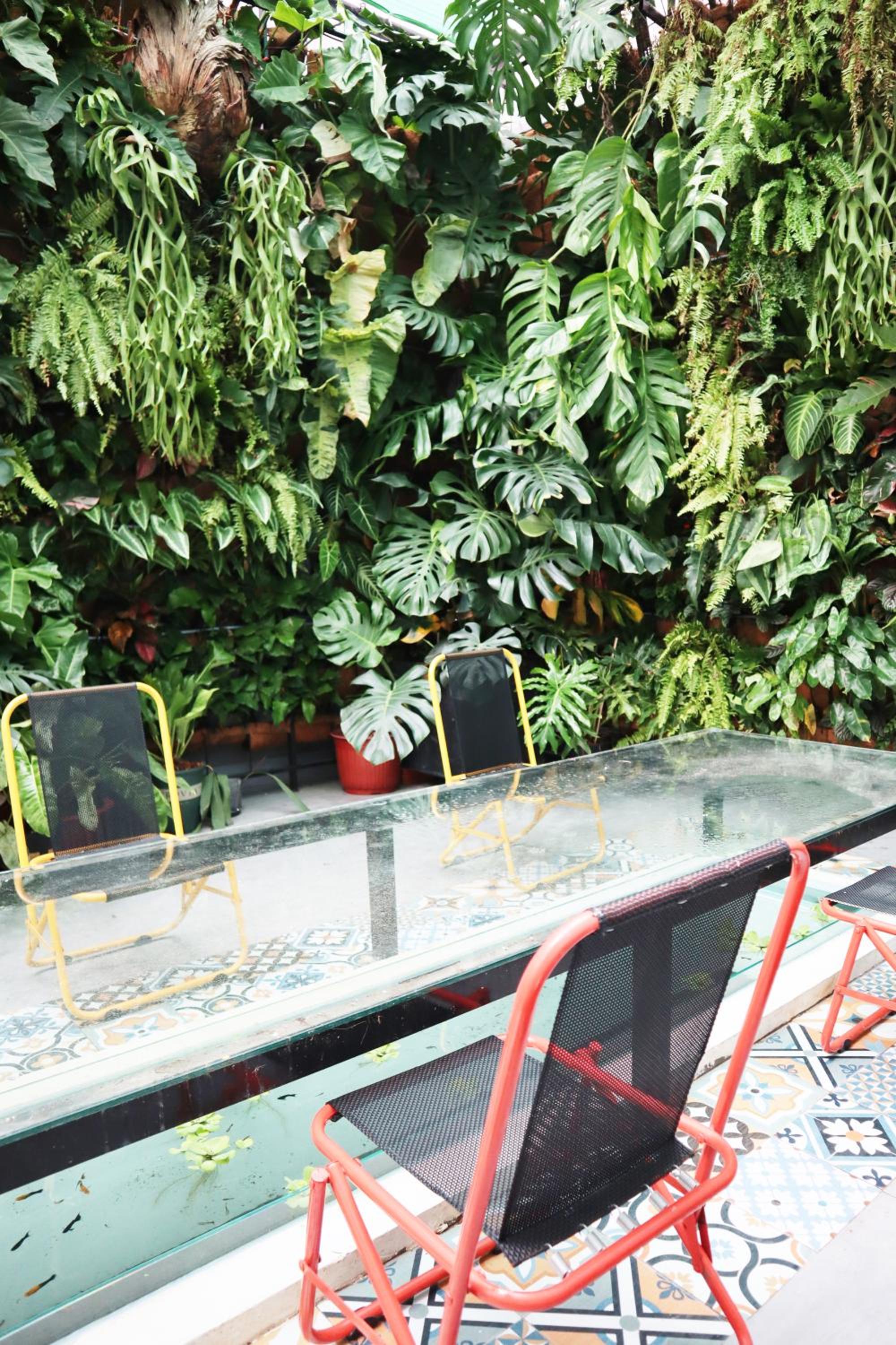 AMANGO HOSTEL