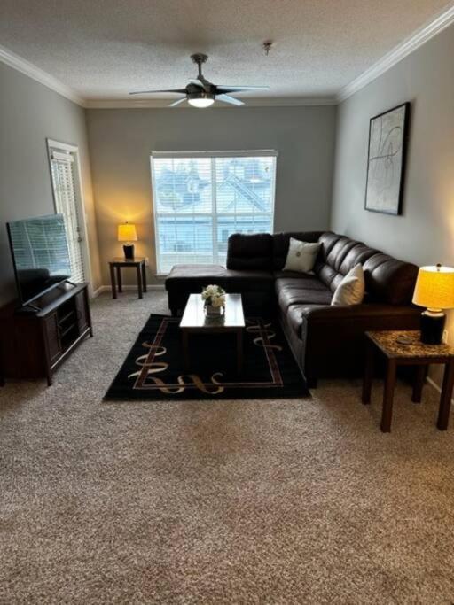 Extravagant 2 BR/2 BA Apartment view 4