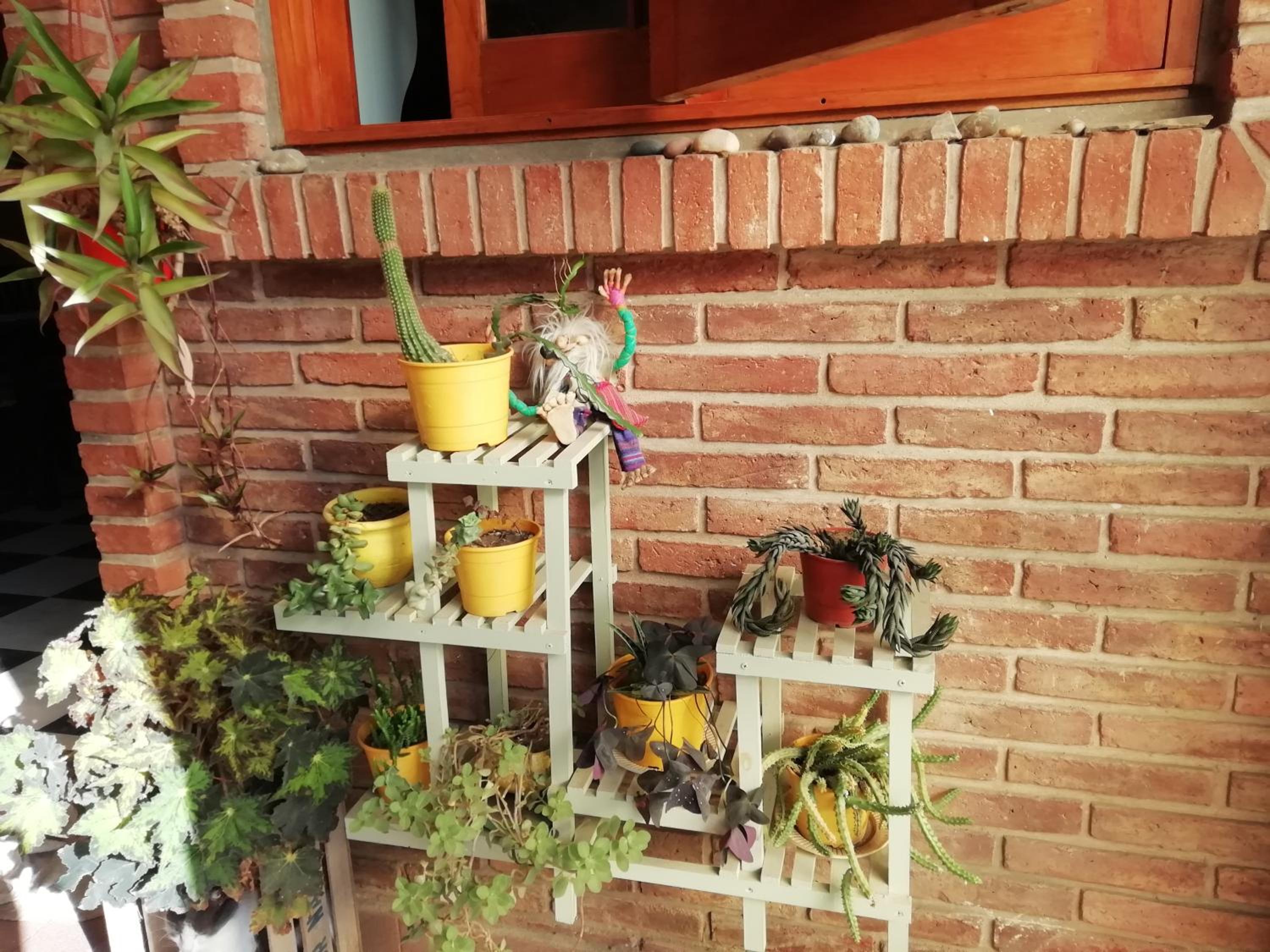 La casa de Lily