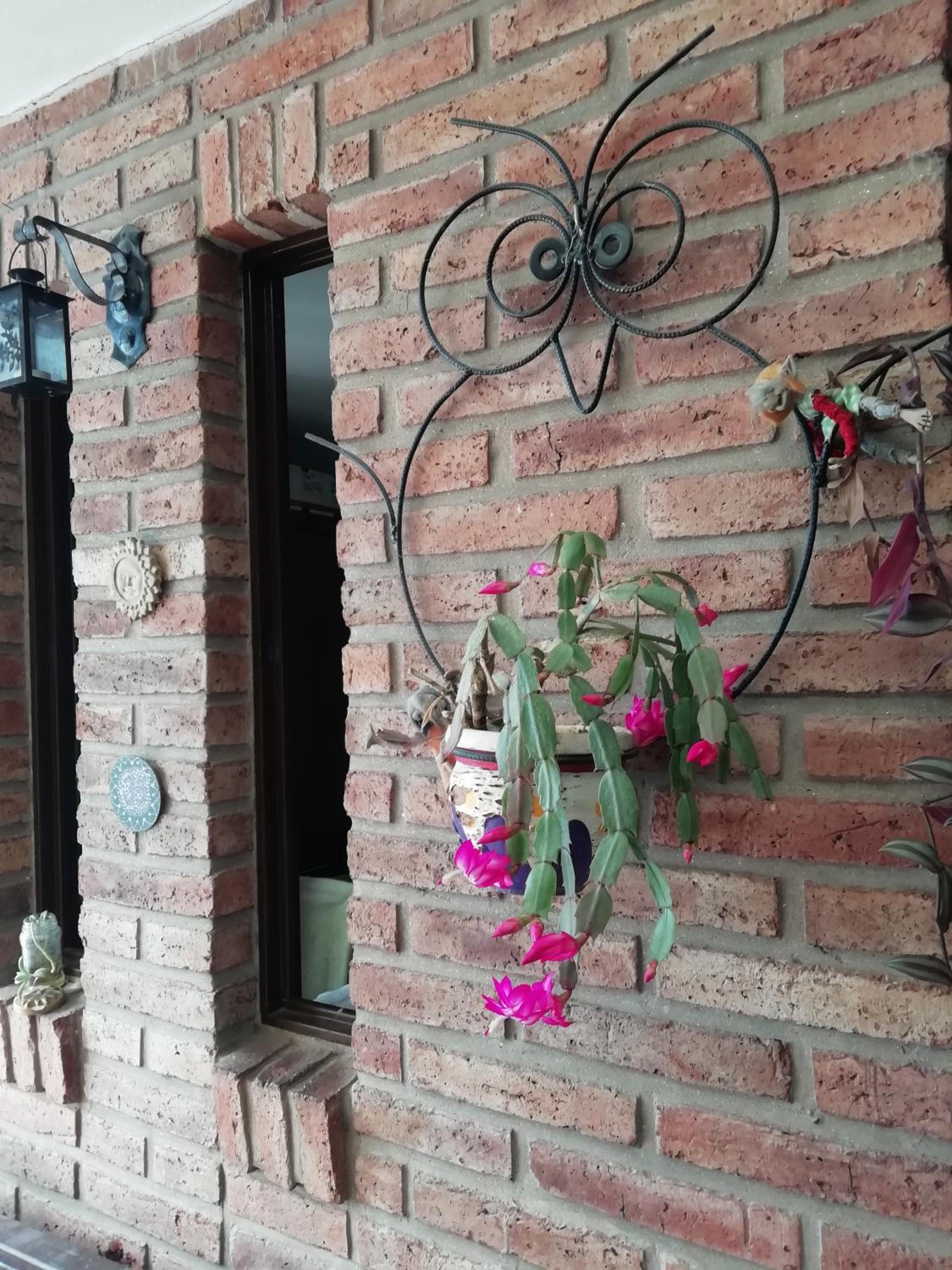 La casa de Lily