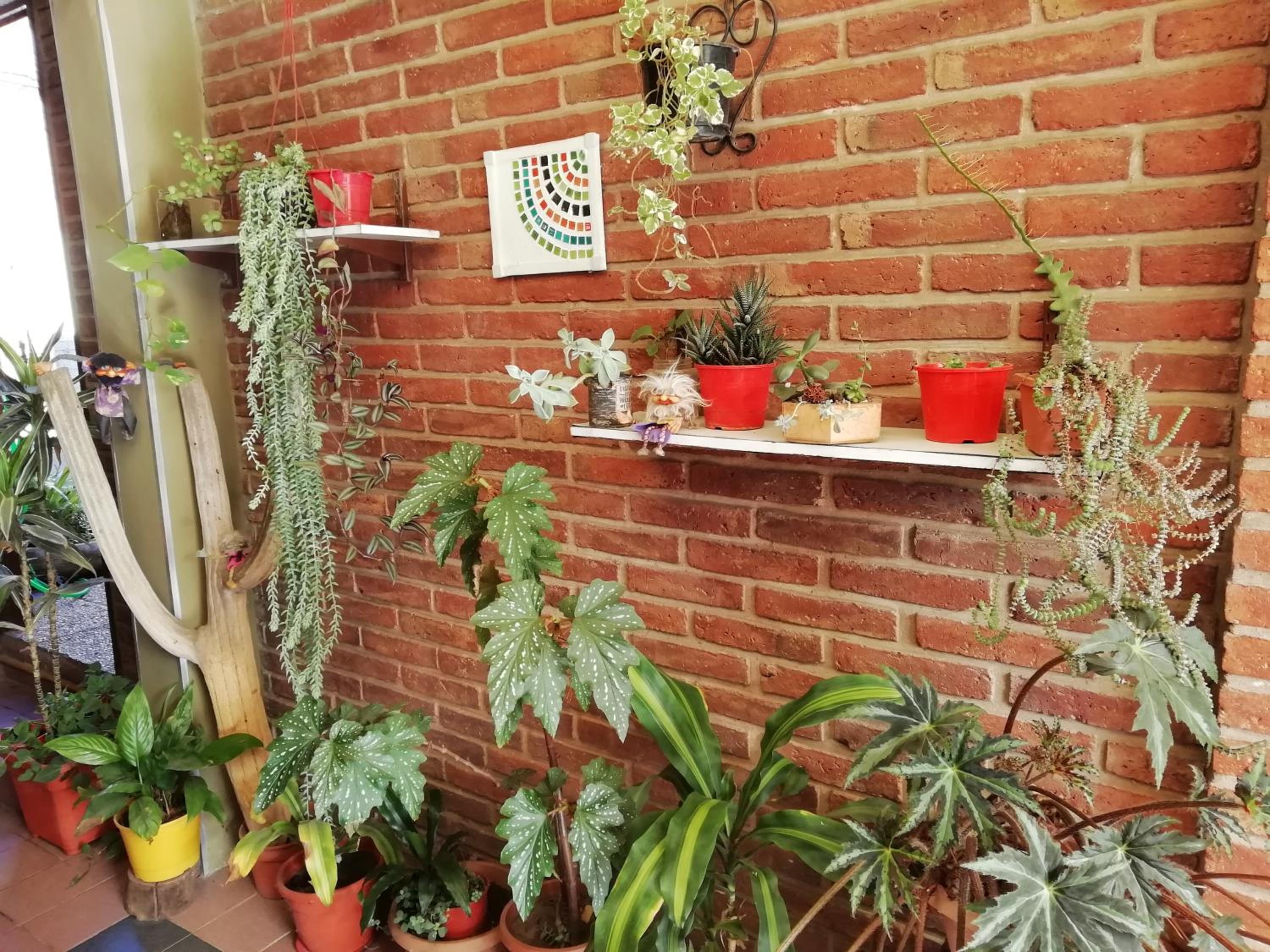 La casa de Lily