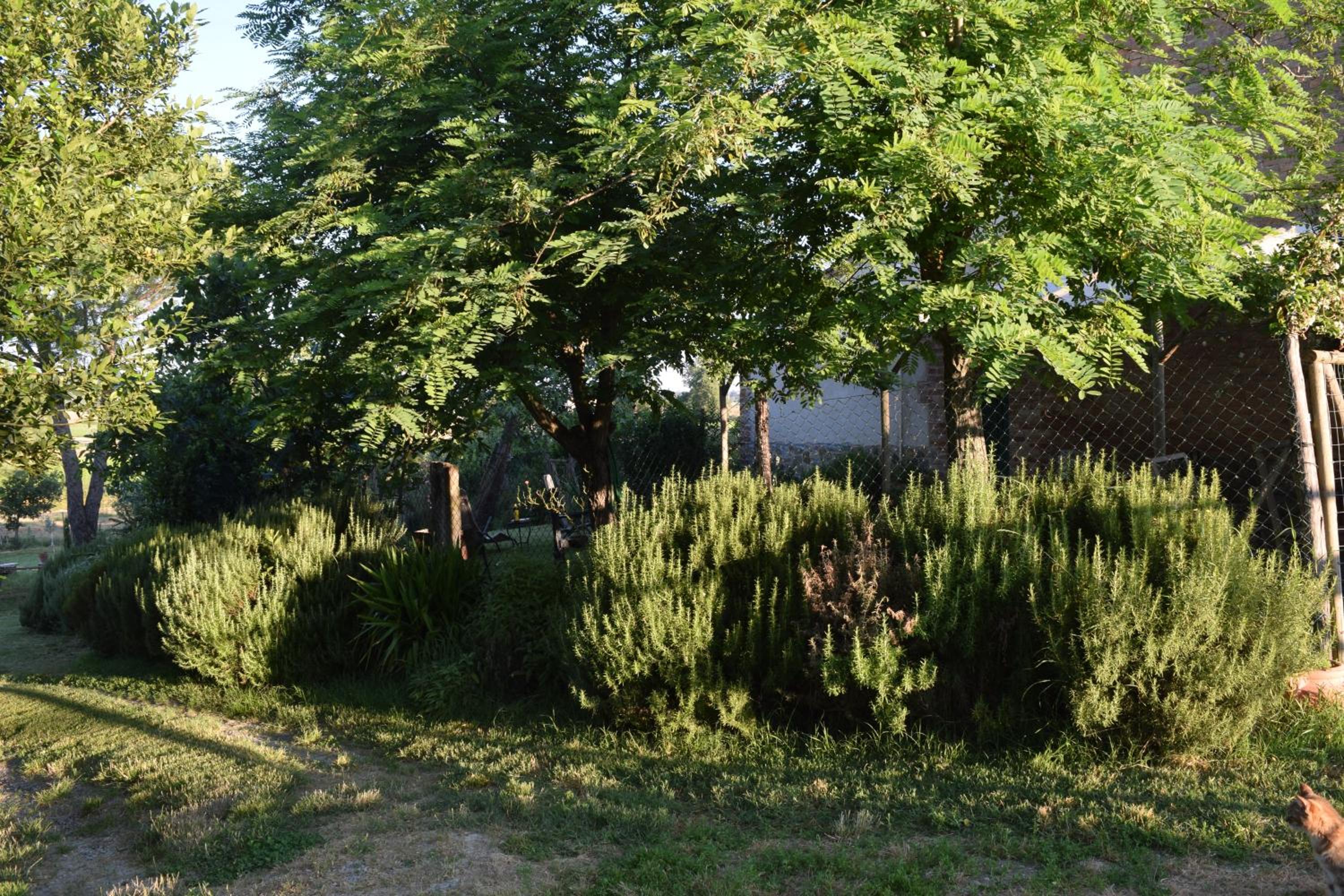Photo 28