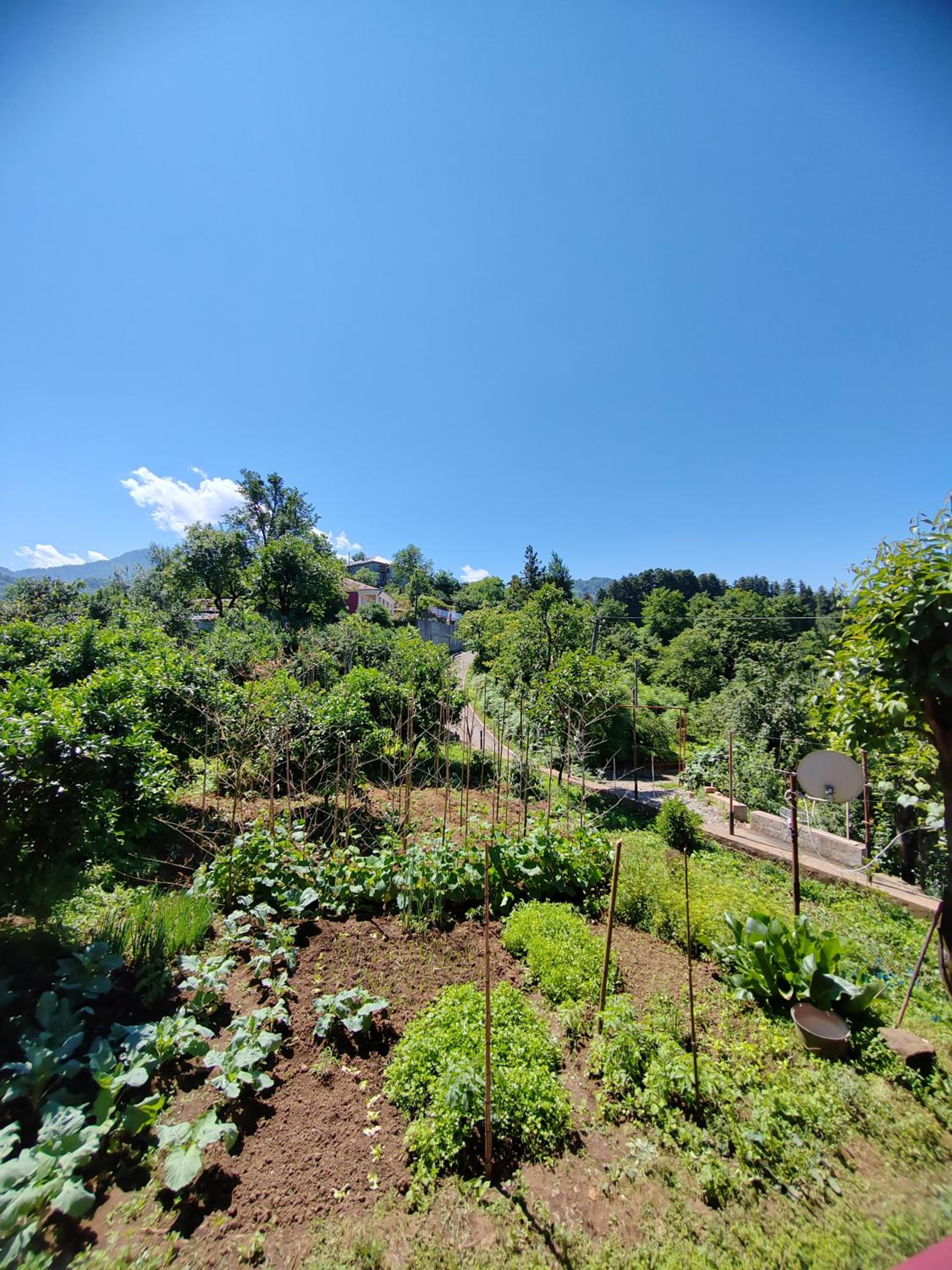 Guest house David view 4