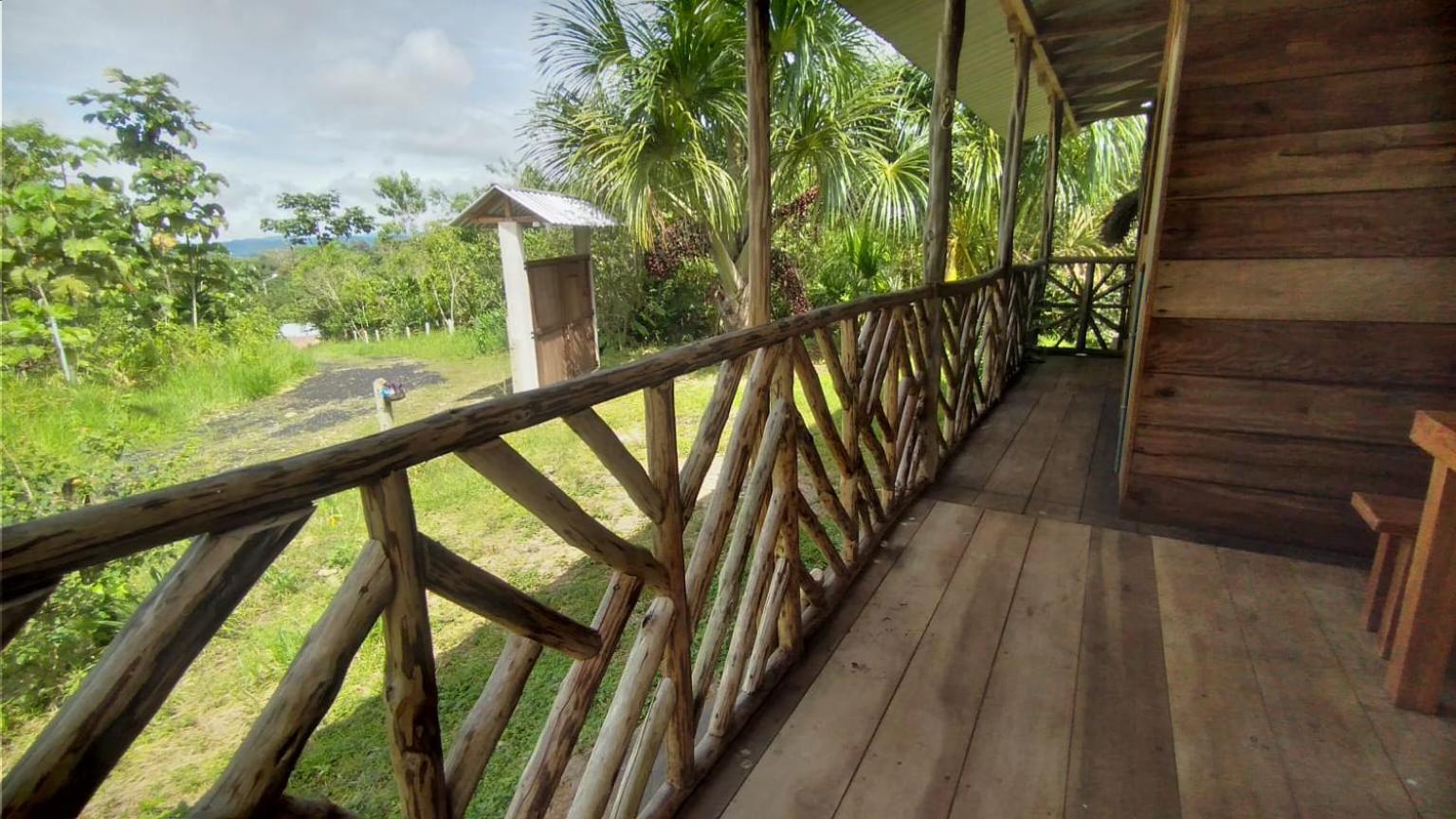 Rainforest Hut