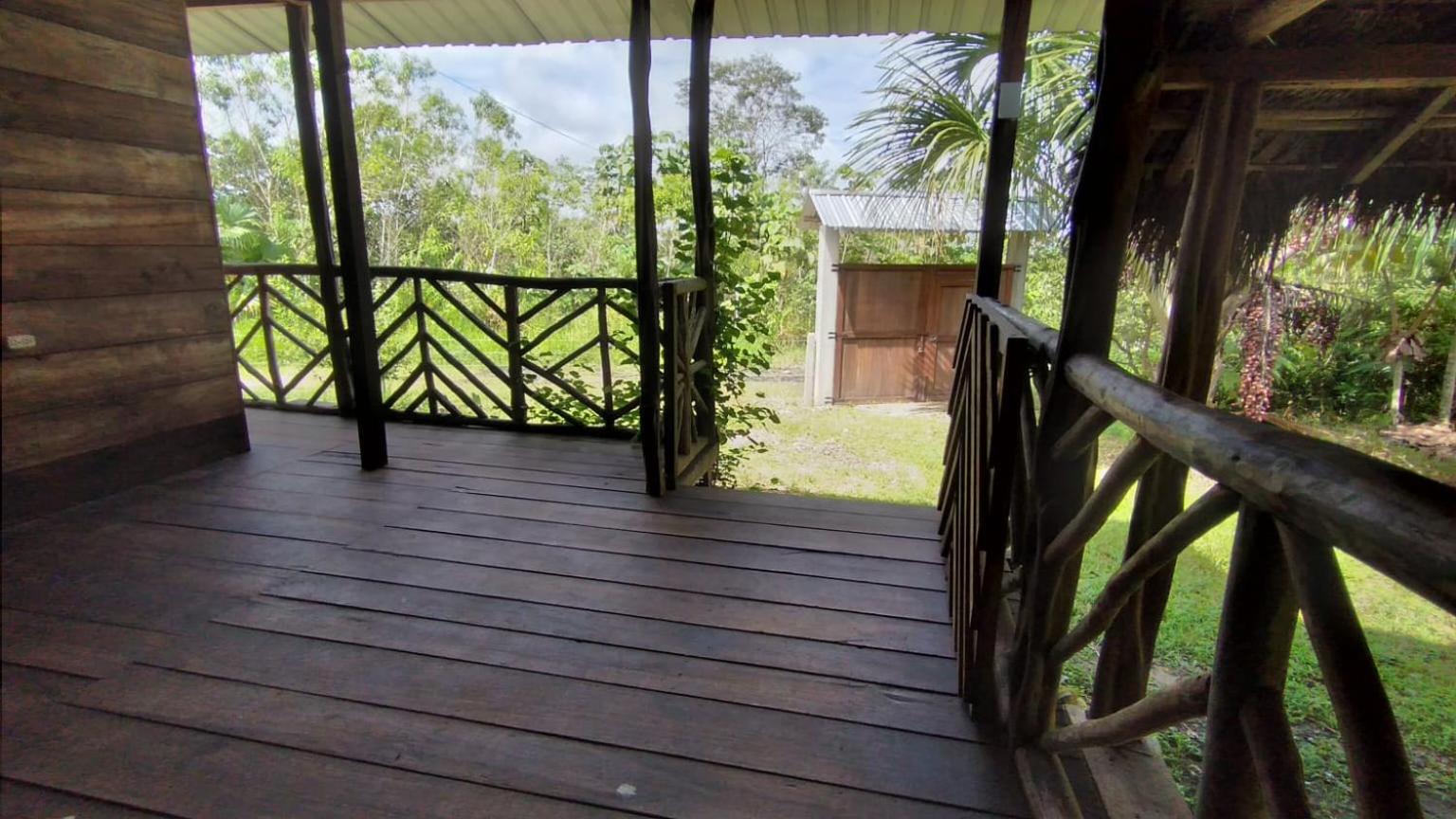 Rainforest Hut