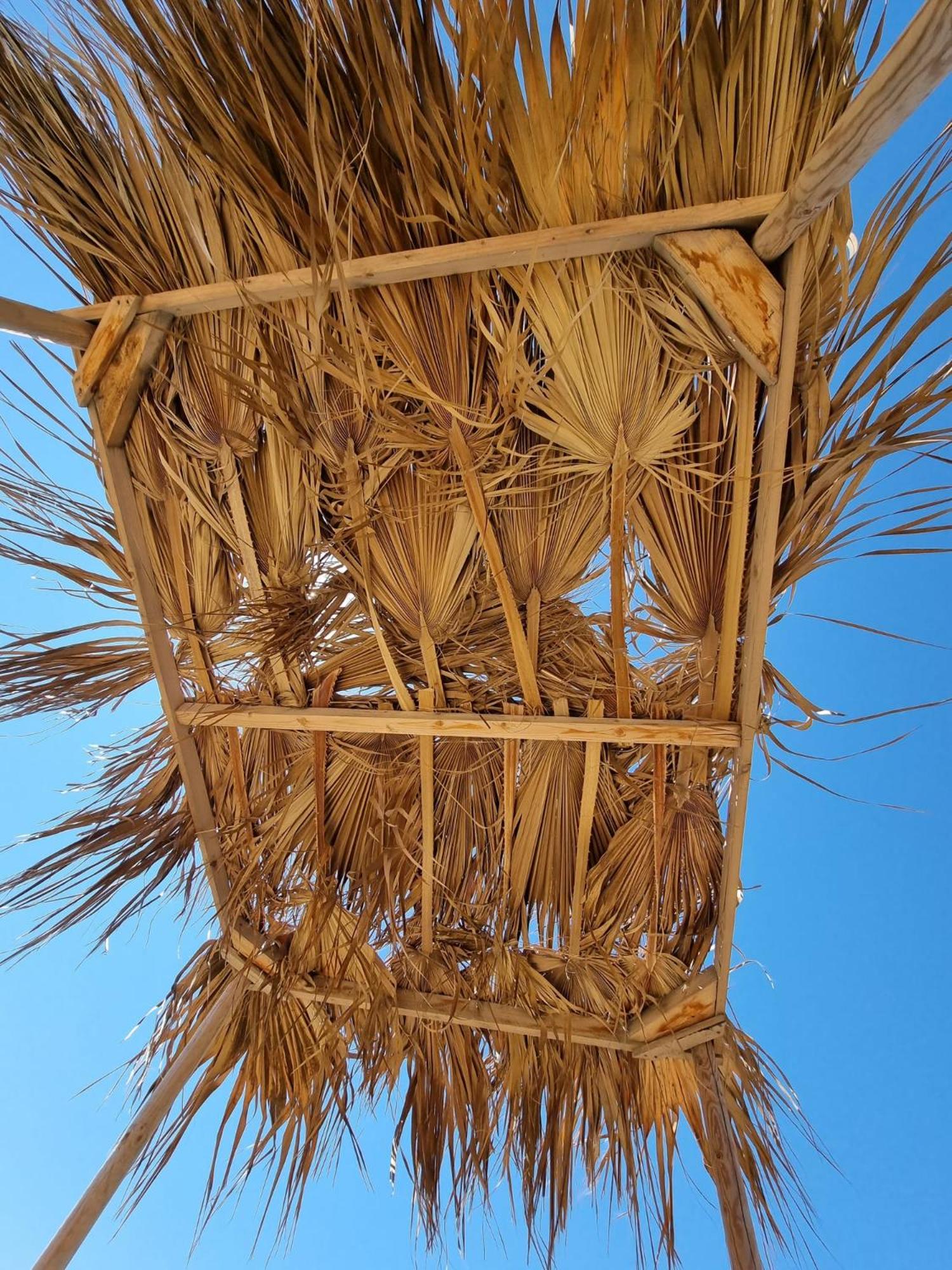 Summer Dream Cyprus