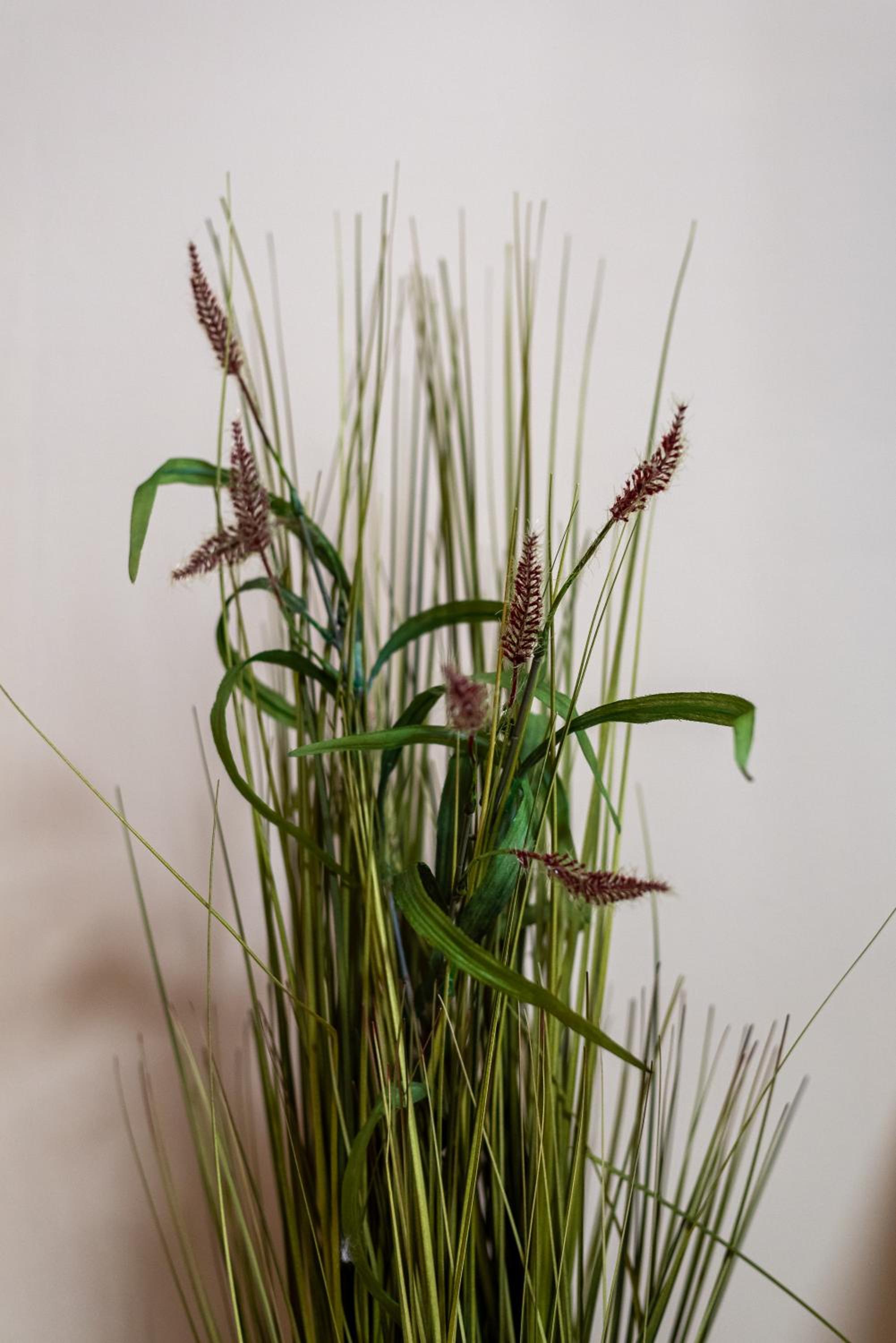 Photo 35