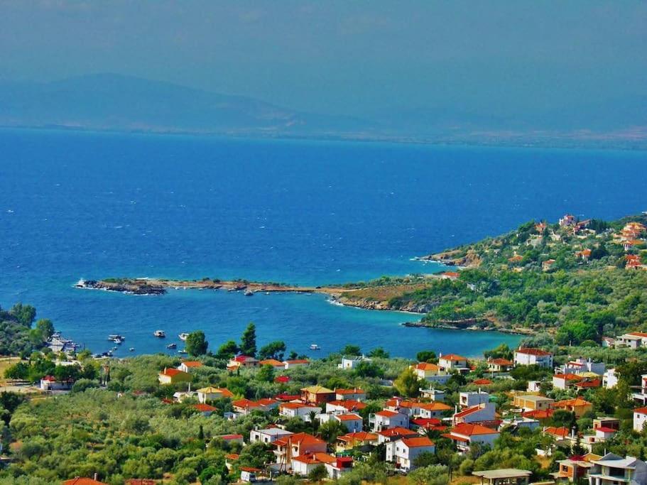Hatsi home guesthouse