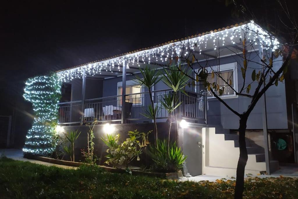 Hatsi home guesthouse