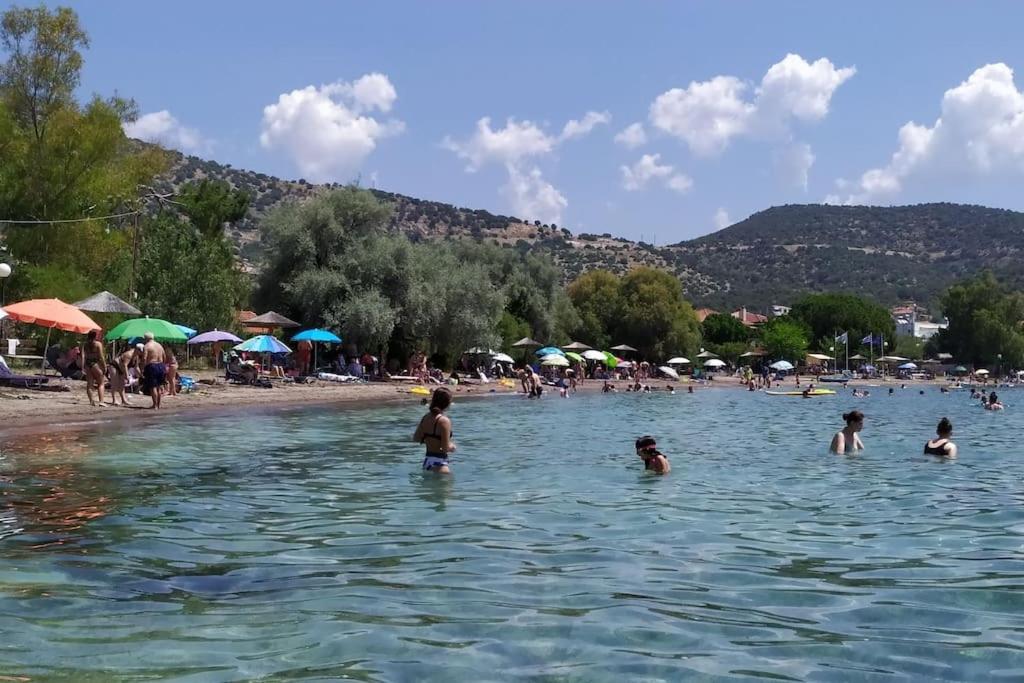 Hatsi home guesthouse