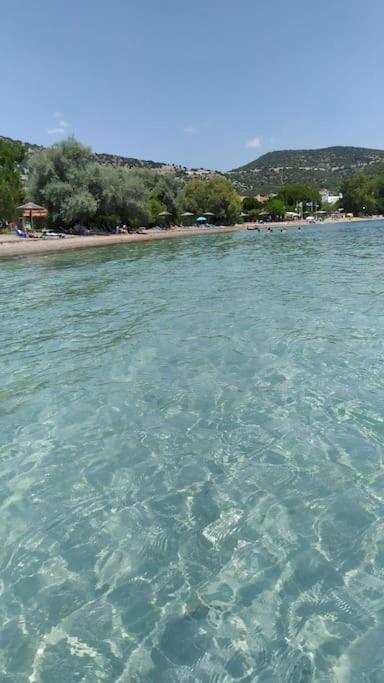 Hatsi home guesthouse