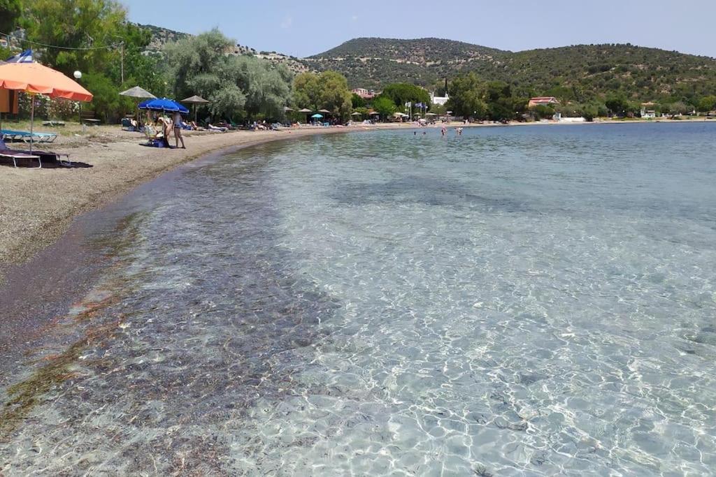 Hatsi home guesthouse