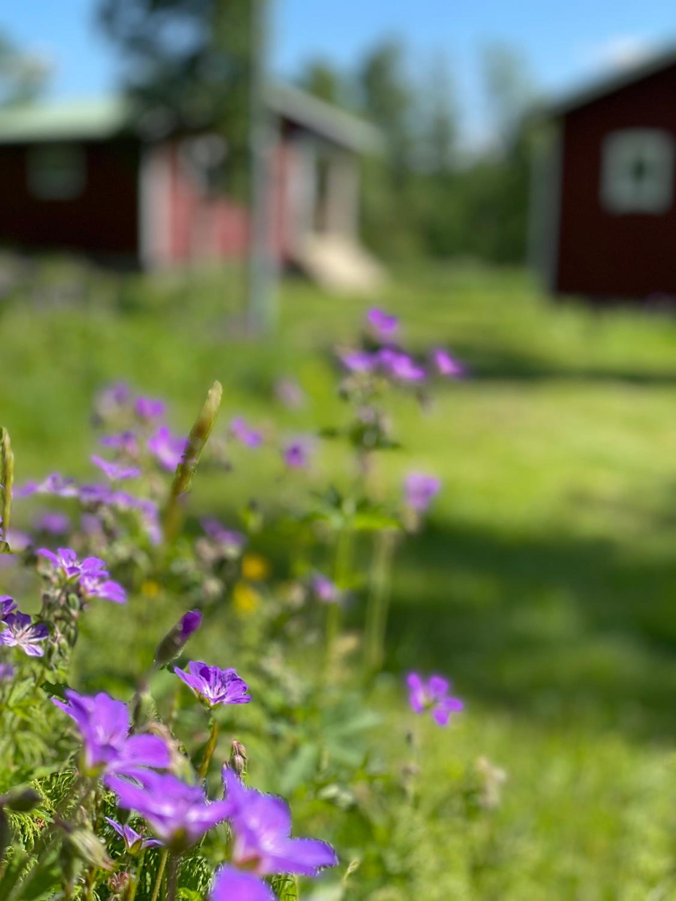 Tänndalens Stugby