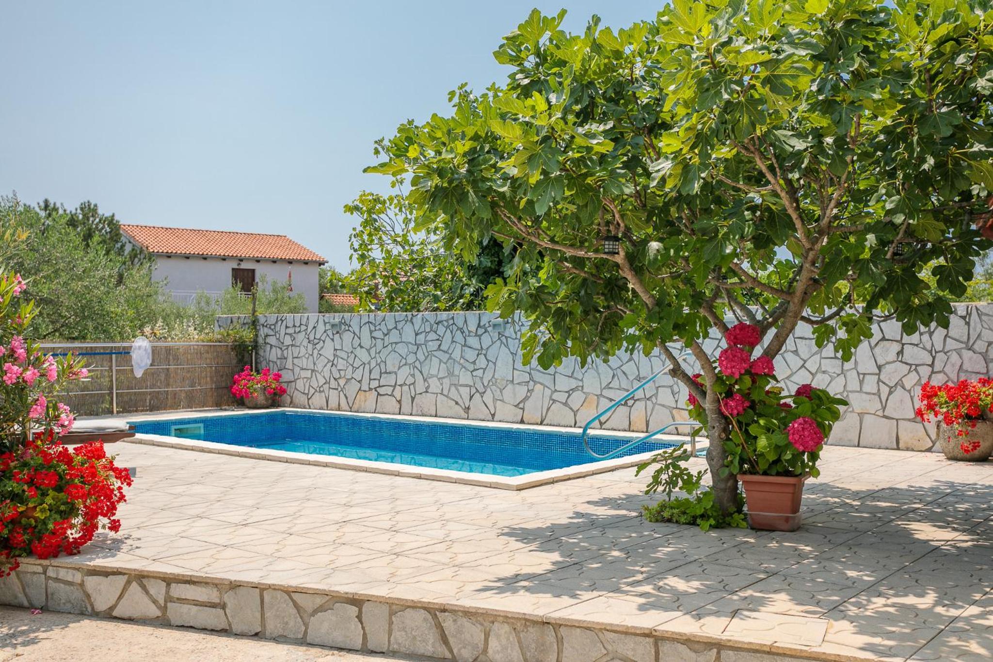 Villa Galovic photo 5