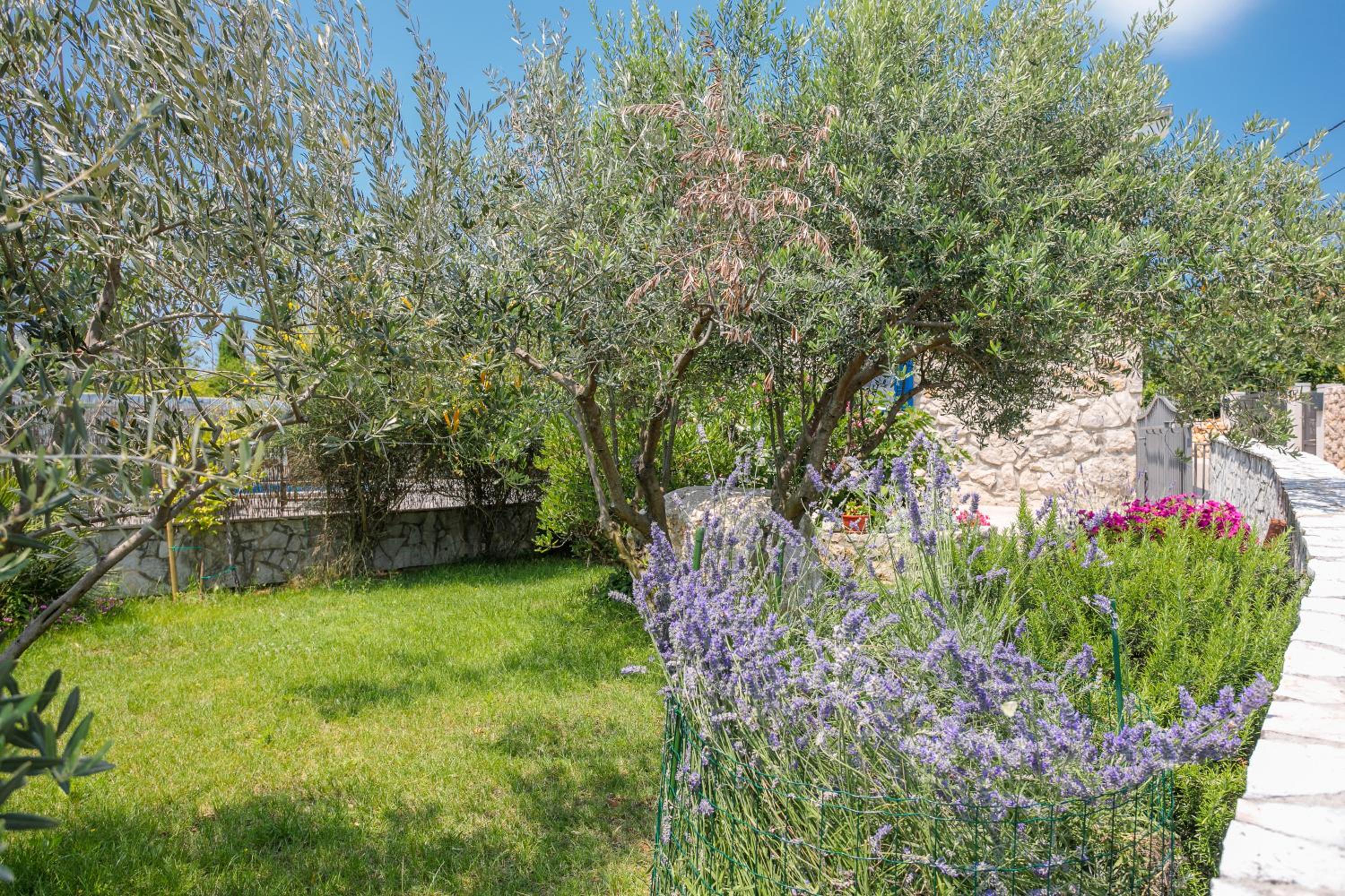 Villa Galovic en Brzac — other