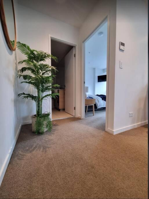 Broadbeach Stunner Modern and Central