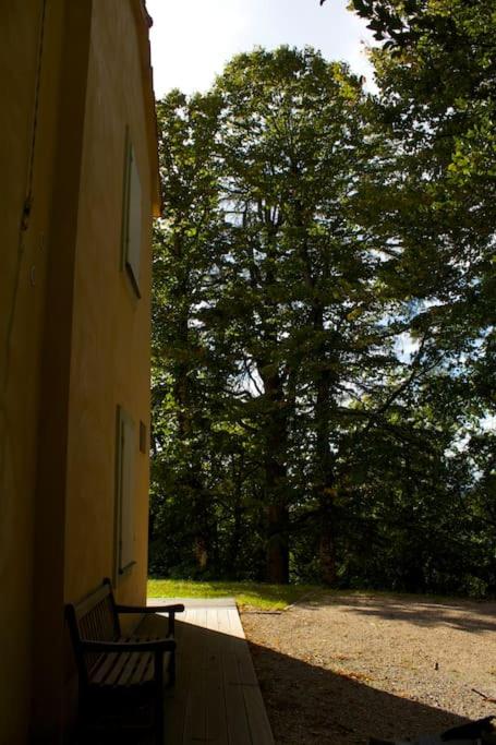 Casa sul Monte Serra con piscina