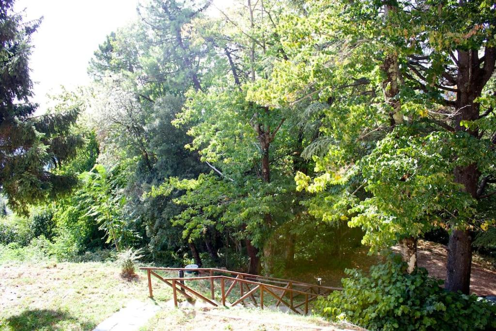 Casa sul Monte Serra con piscina