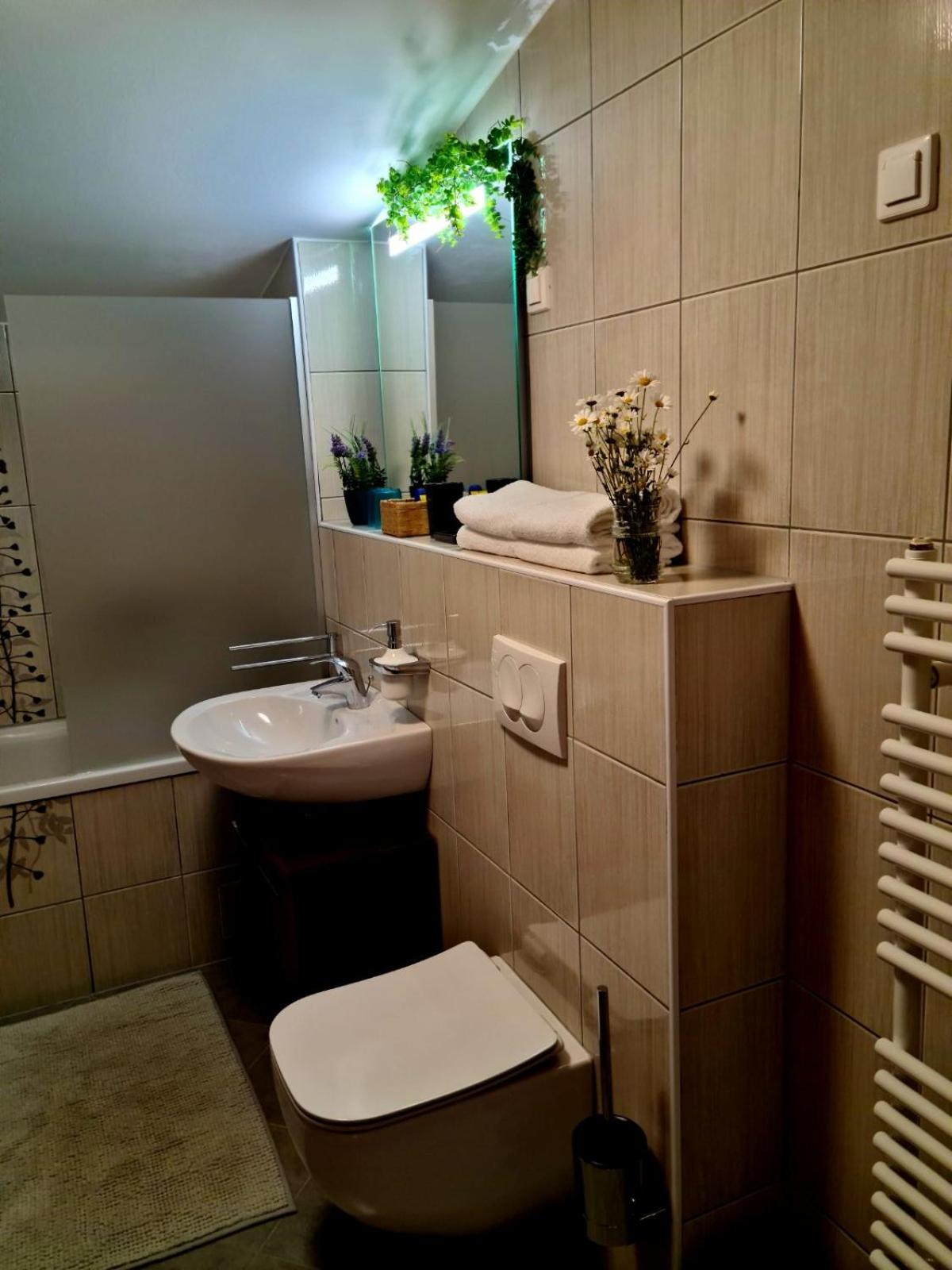Apartment Alpina